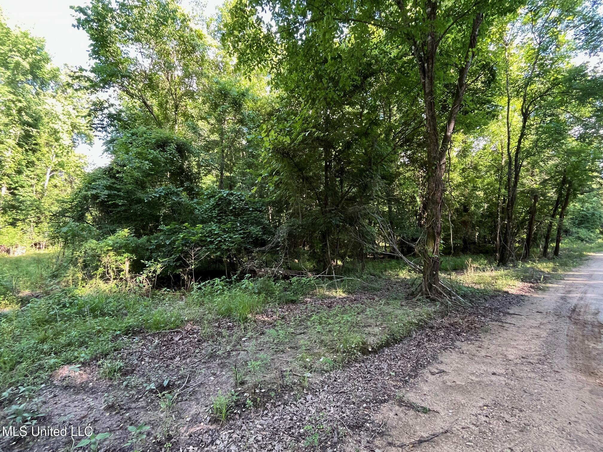 3 +/- Ac Vicie Lane, Leakesville, Mississippi image 4