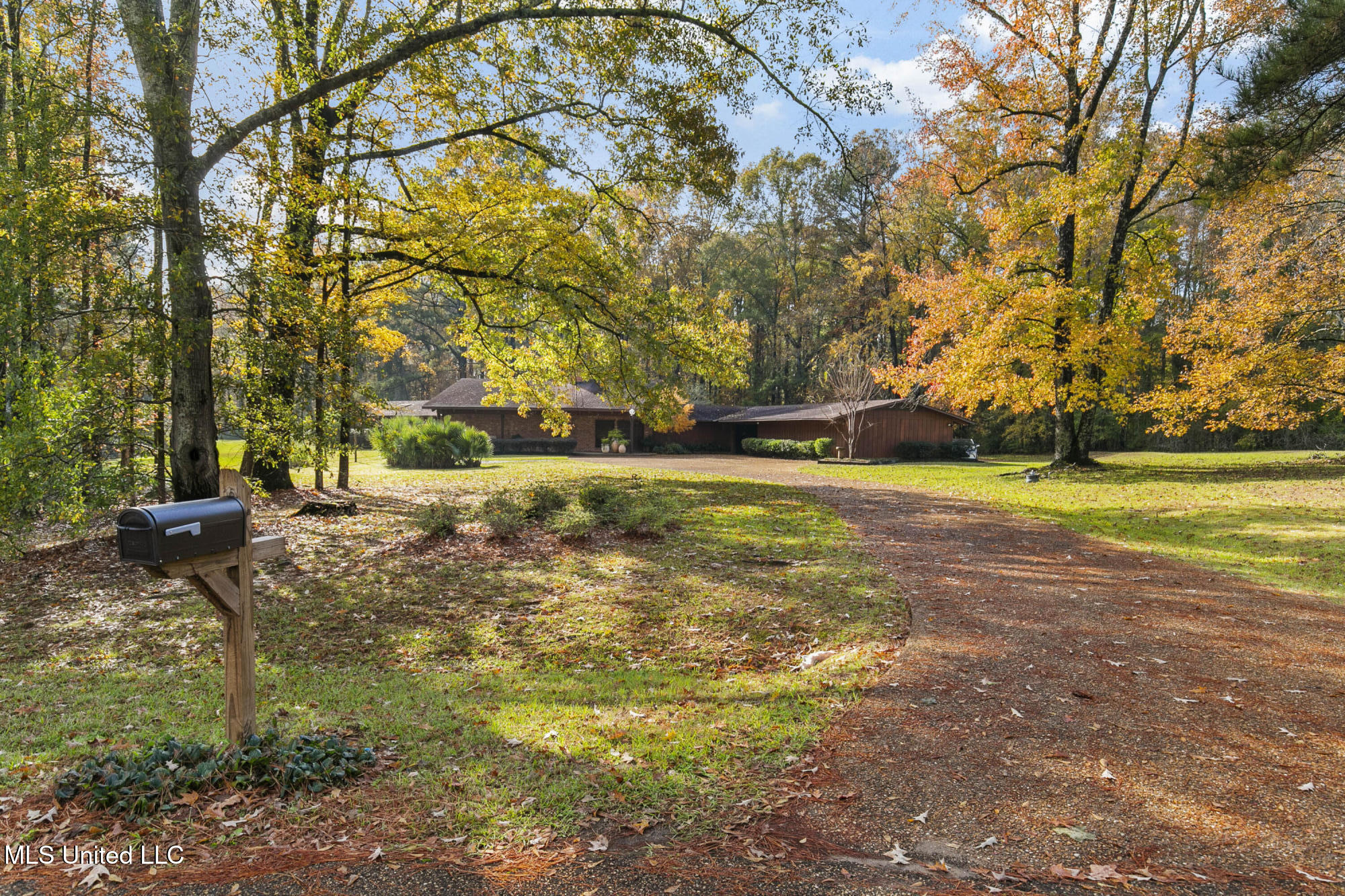 305 Hand Drive, Flowood, Mississippi image 11