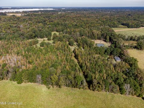 Vacant Land For Sale - E Sowell Road<br/> Canton, MS 39046
