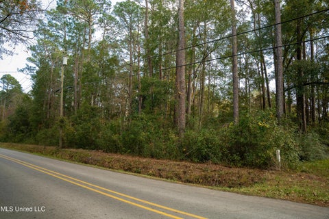 Vacant Land For Sale - 8513 Elm Avenue<br/> Ocean Springs, MS 39564