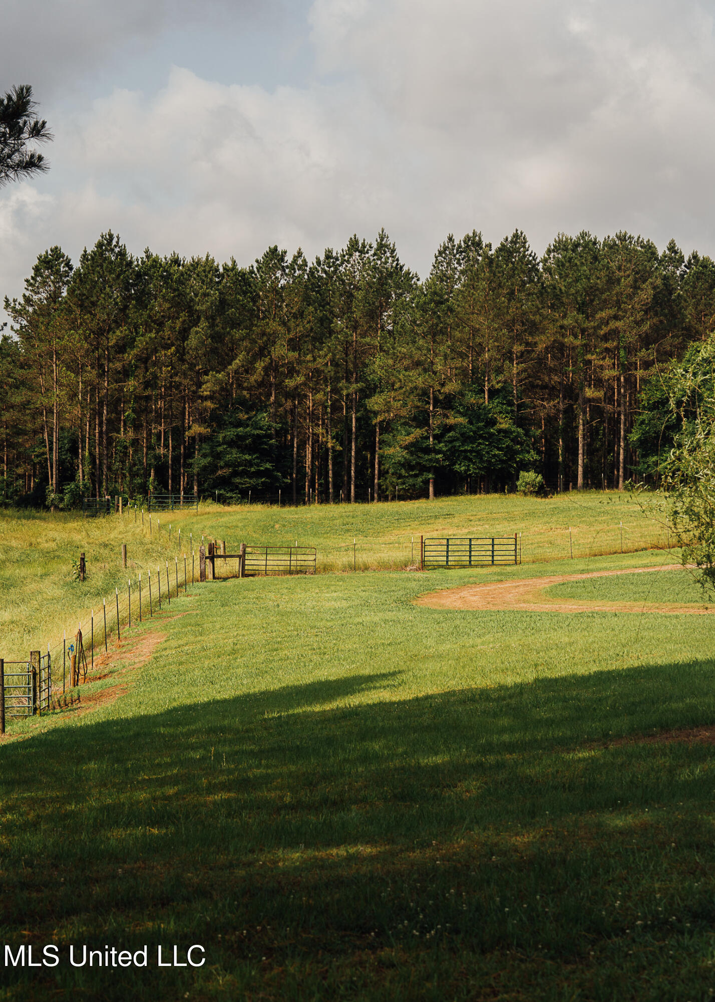 2388 Attala Road 5238, Ethel, Mississippi image 15