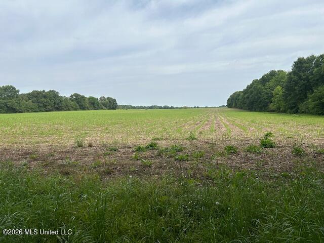 Old Jackson Road