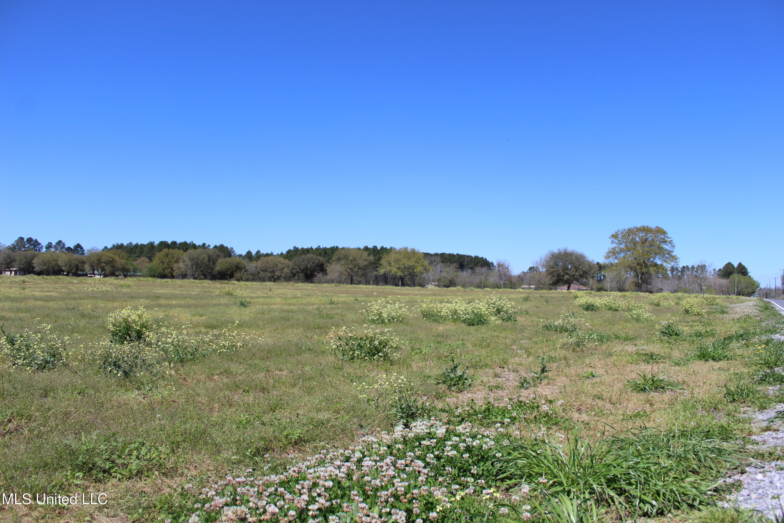 Lot 1 Ramie Farm Road, Moss Point, Mississippi image 3