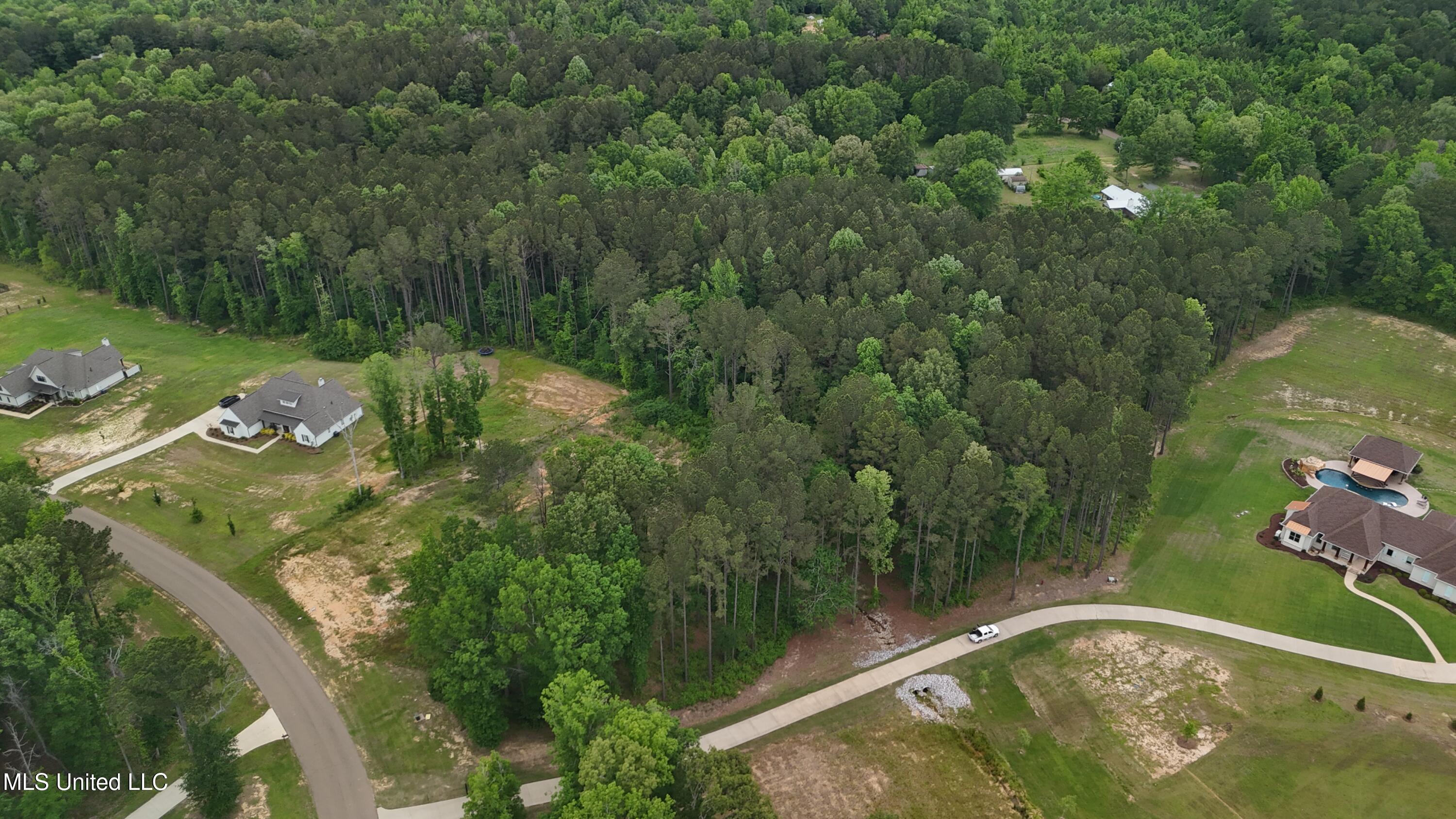 Dogwood Trace, Brandon, Mississippi image 2