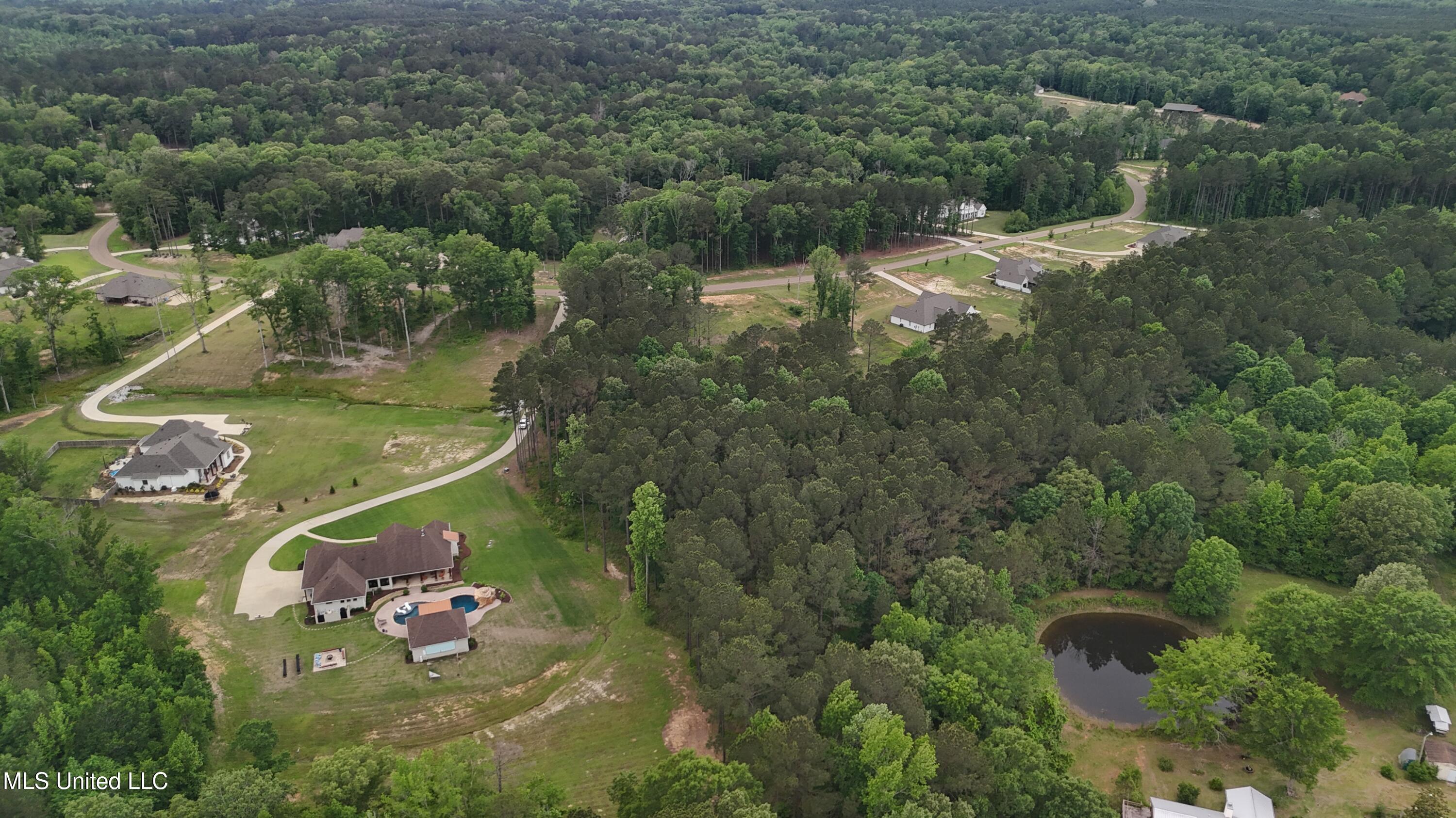 Dogwood Trace, Brandon, Mississippi image 8