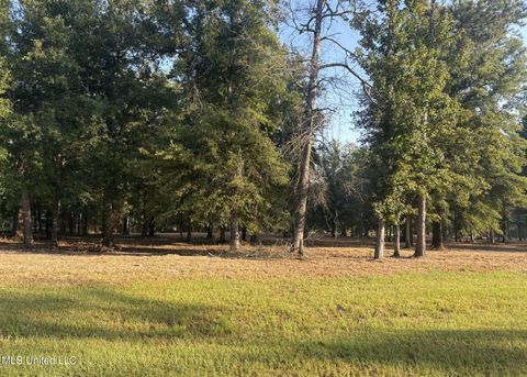 Vacant Land For Sale - 00 Shire Avenue<br/> Forest, MS 39074