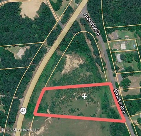 Vacant Land For Sale - Hwy 43 N St<br/> Rankin County, Pelahatchie, MS 39145