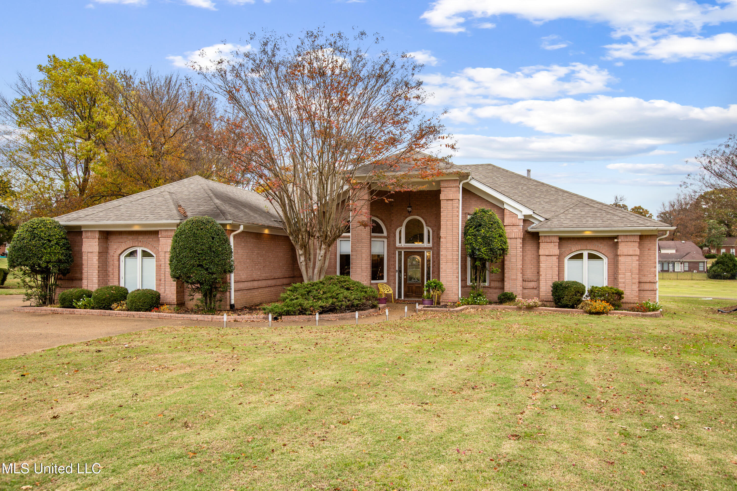 9202 Rosalie Cove, Olive Branch, Mississippi image 1