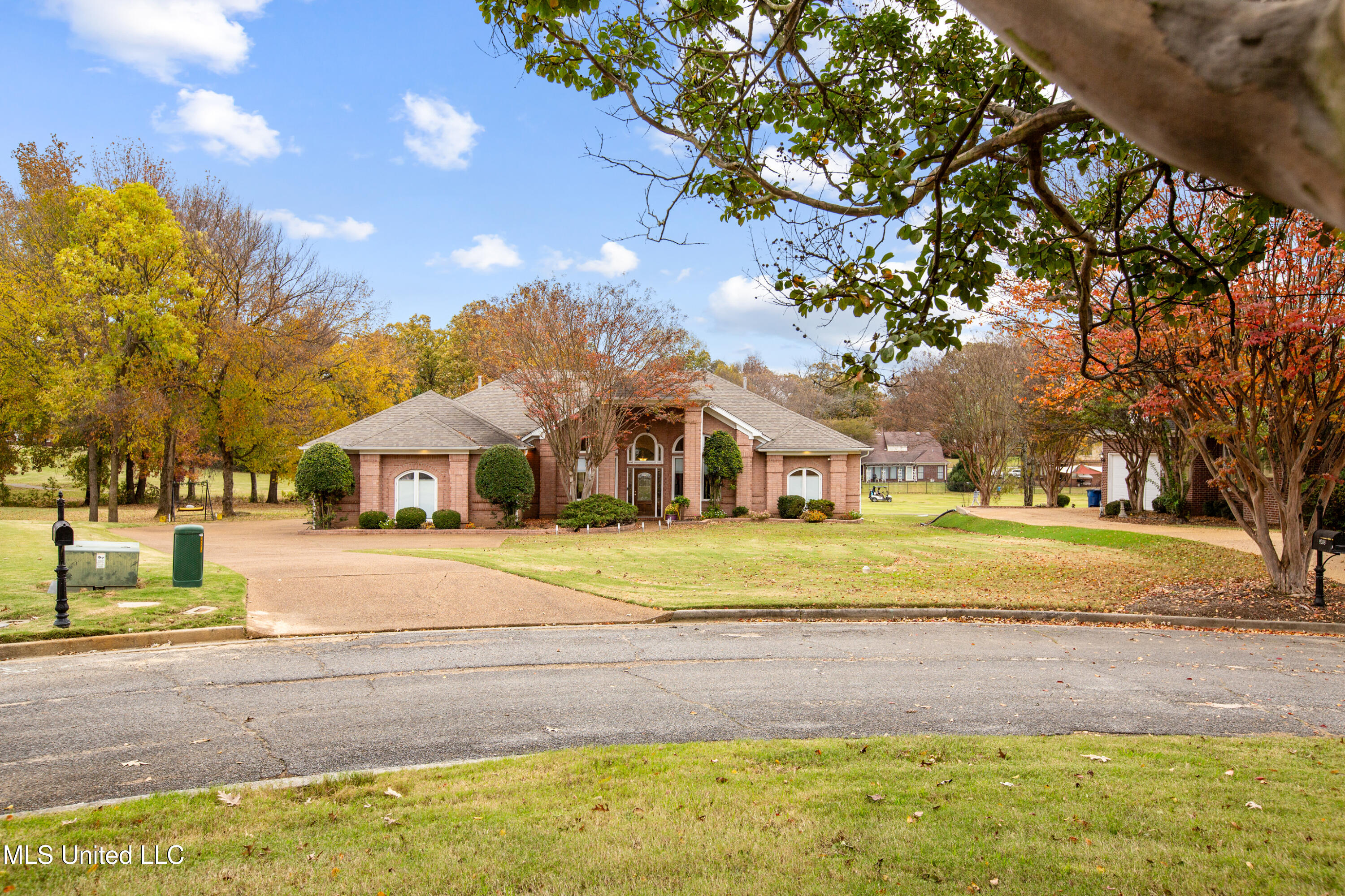 9202 Rosalie Cove, Olive Branch, Mississippi image 3