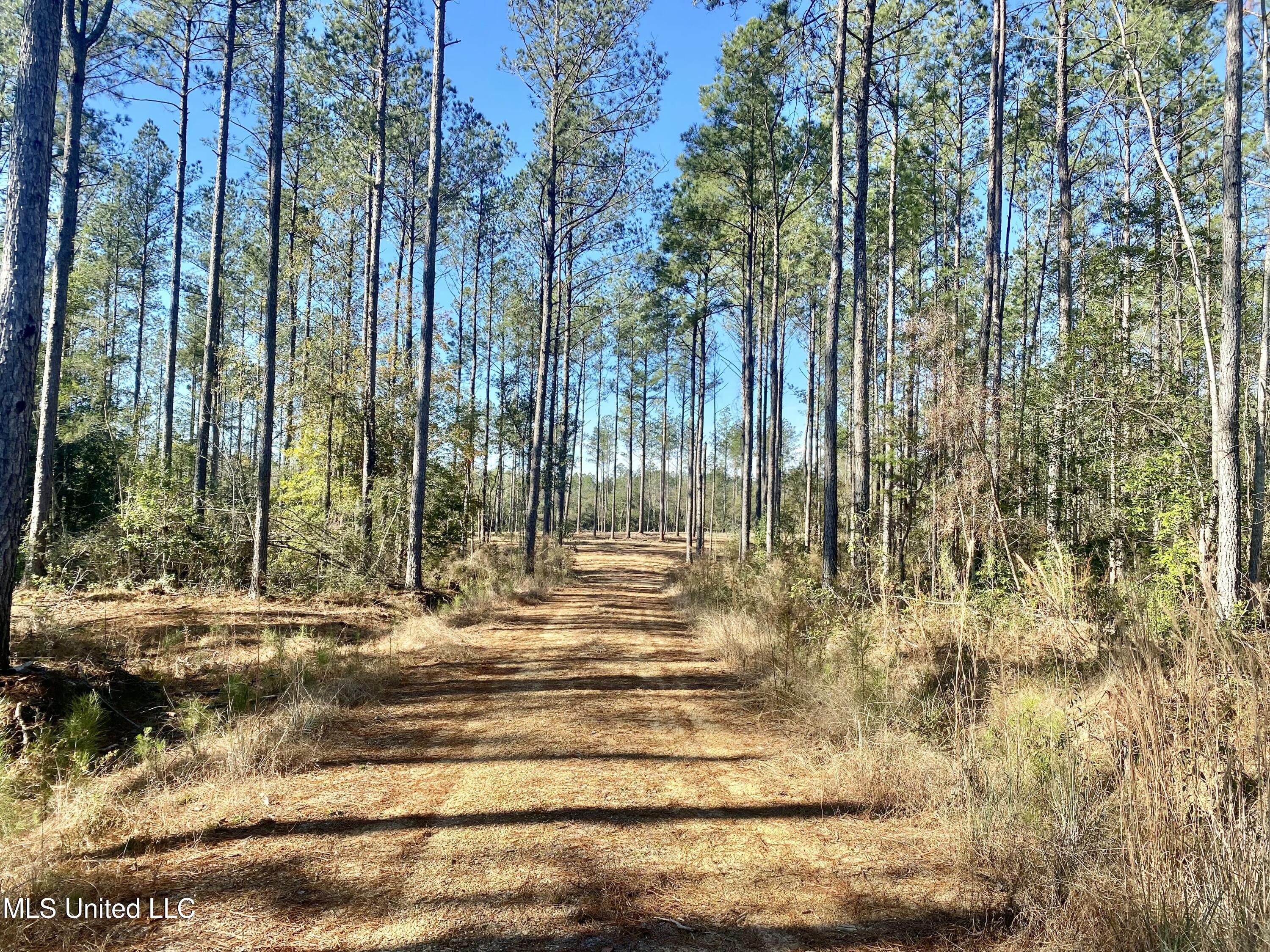 141 Deep Creek Road, Wiggins, Mississippi image 1