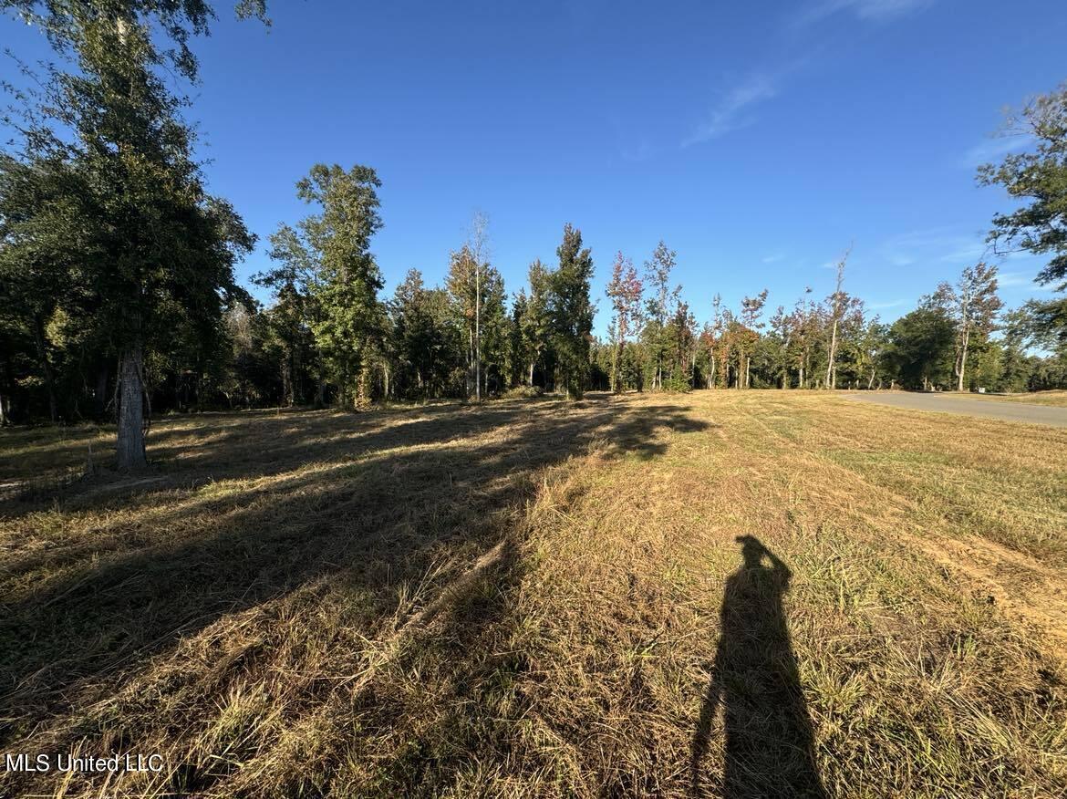 Lot#9 Bent Creek, Picayune, Mississippi image 7