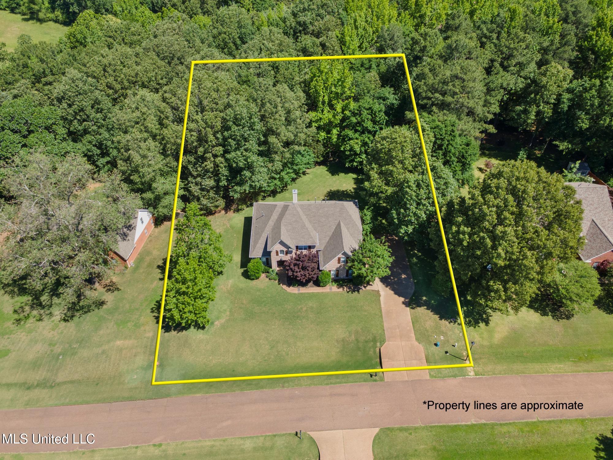 7672 N Rigmoore Point, Olive Branch, Mississippi image 42