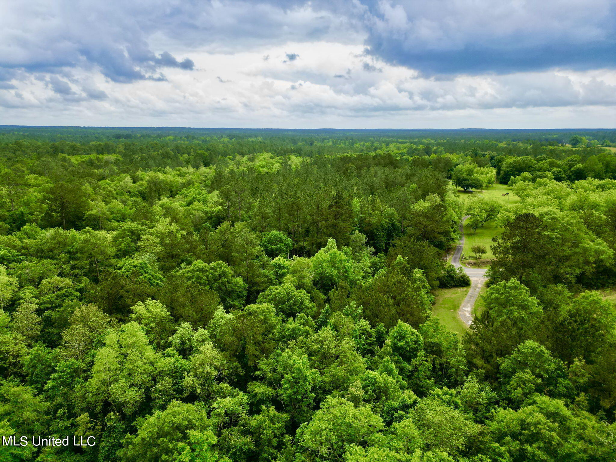 Nhn Savannah Millard Rd. Road, Poplarville, Mississippi image 4