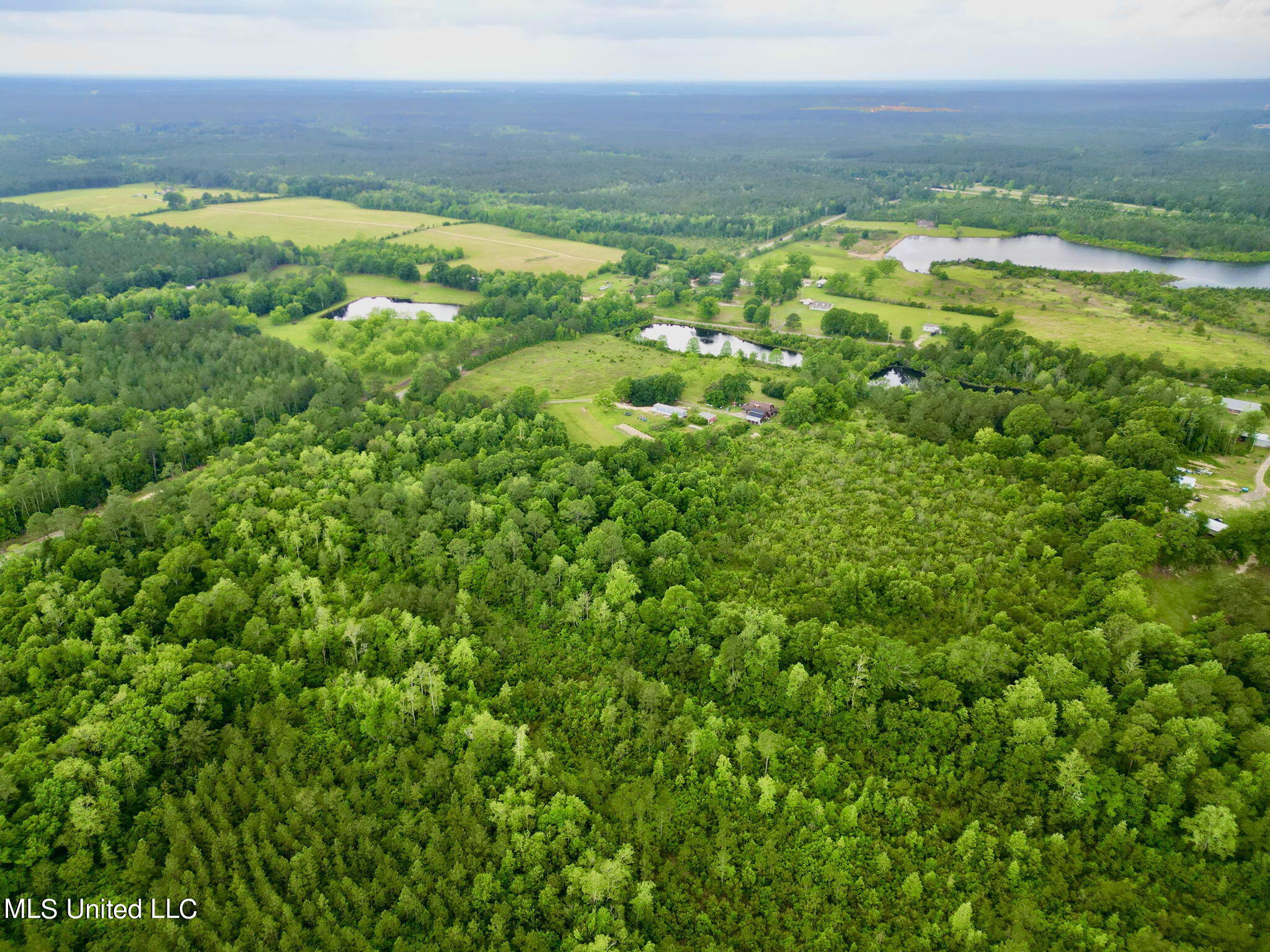 Nhn Savannah Millard Rd. Road, Poplarville, Mississippi image 7