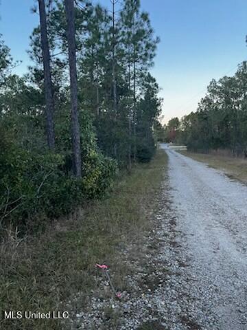 Shady Pine Drive, Ocean Springs, Mississippi image 6