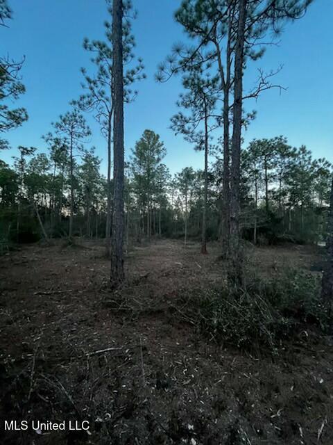 Shady Pine Drive, Ocean Springs, Mississippi image 4