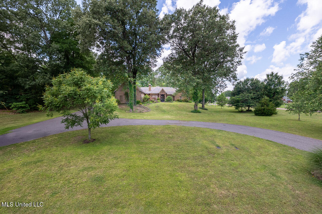 3299 E Woodland Trace Trce, Southaven, Mississippi image 6