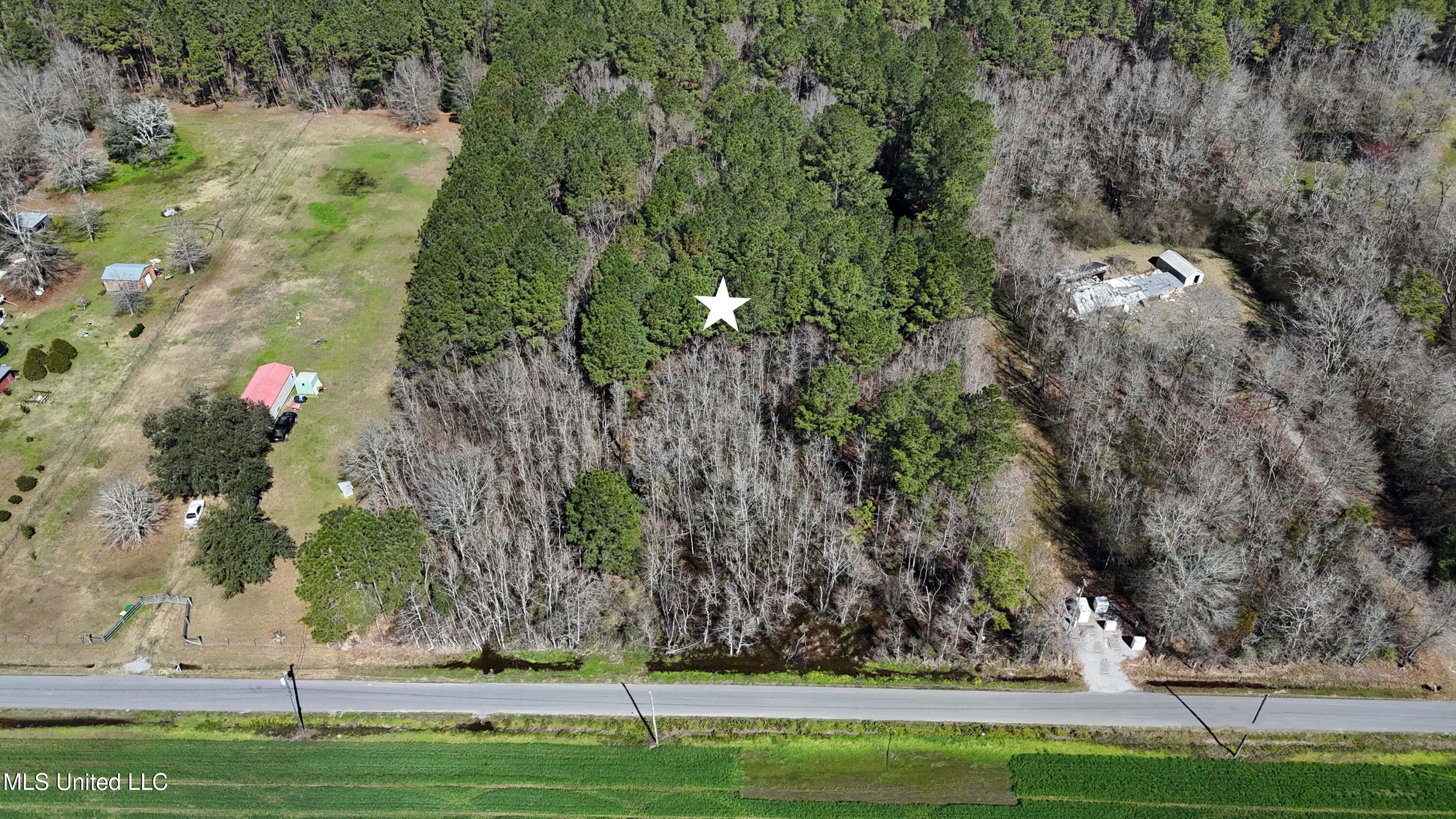 Rosedale Church Road, Lucedale, Mississippi image 2
