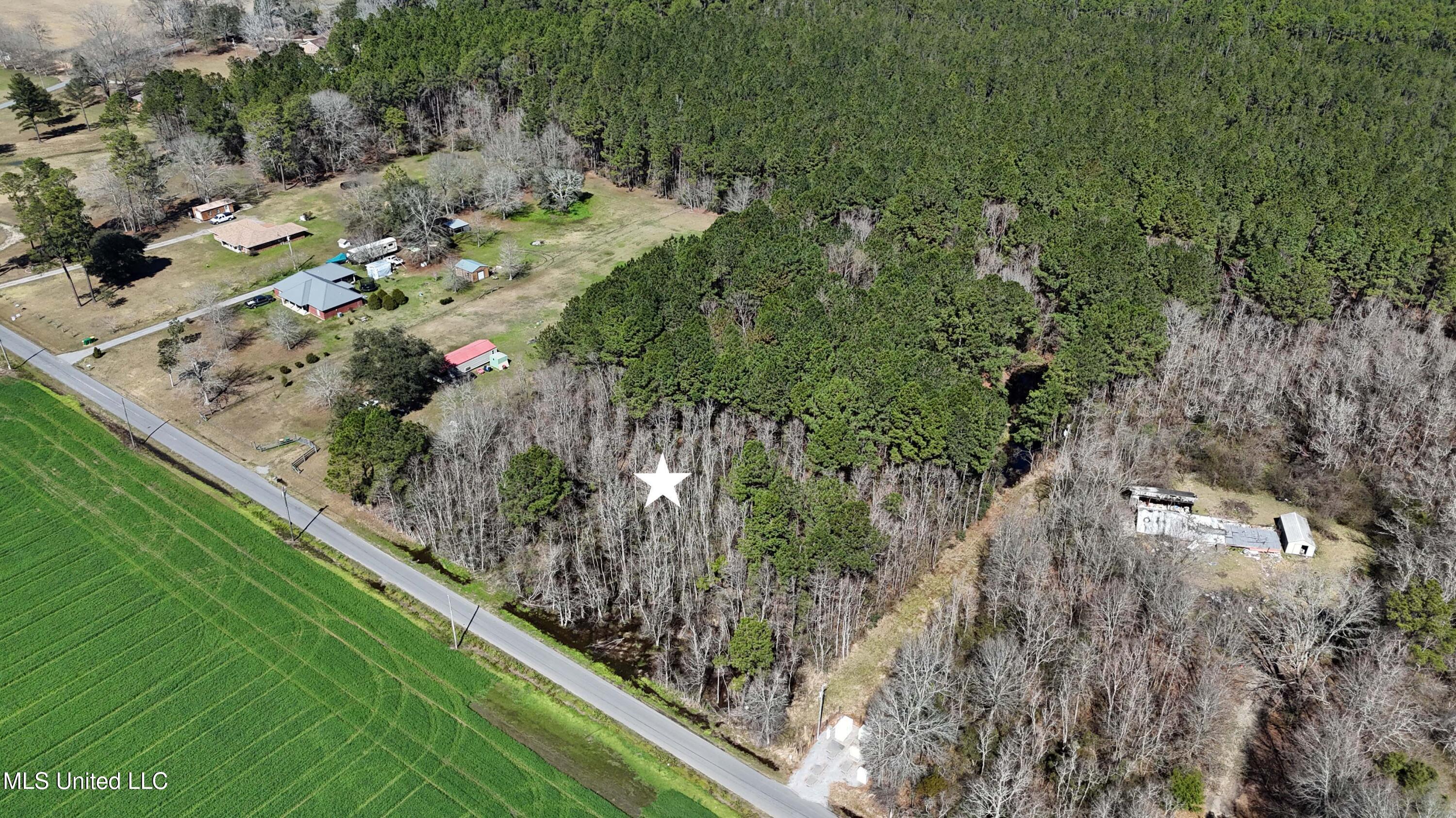 Rosedale Church Road, Lucedale, Mississippi image 8