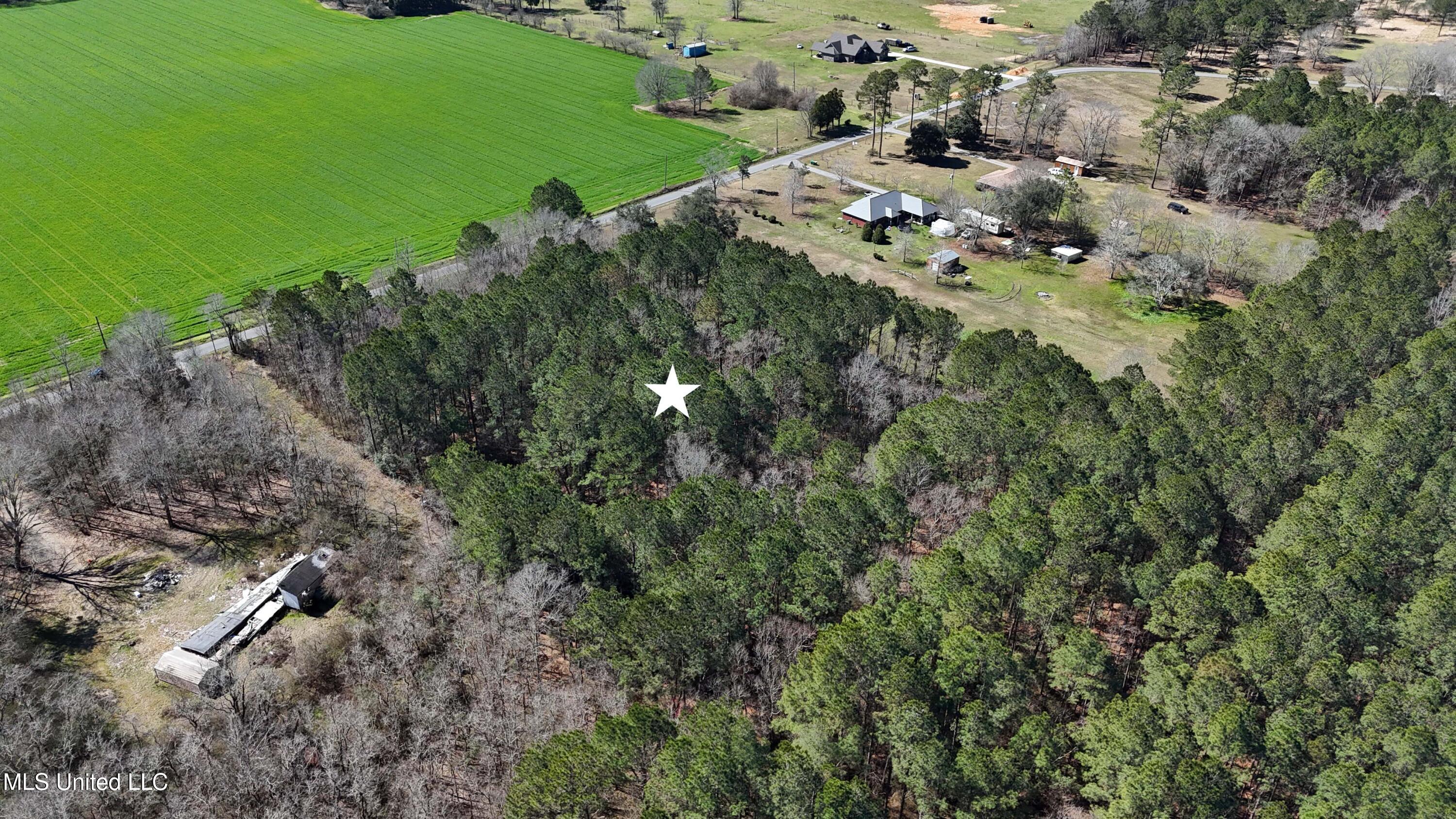 Rosedale Church Road, Lucedale, Mississippi image 6