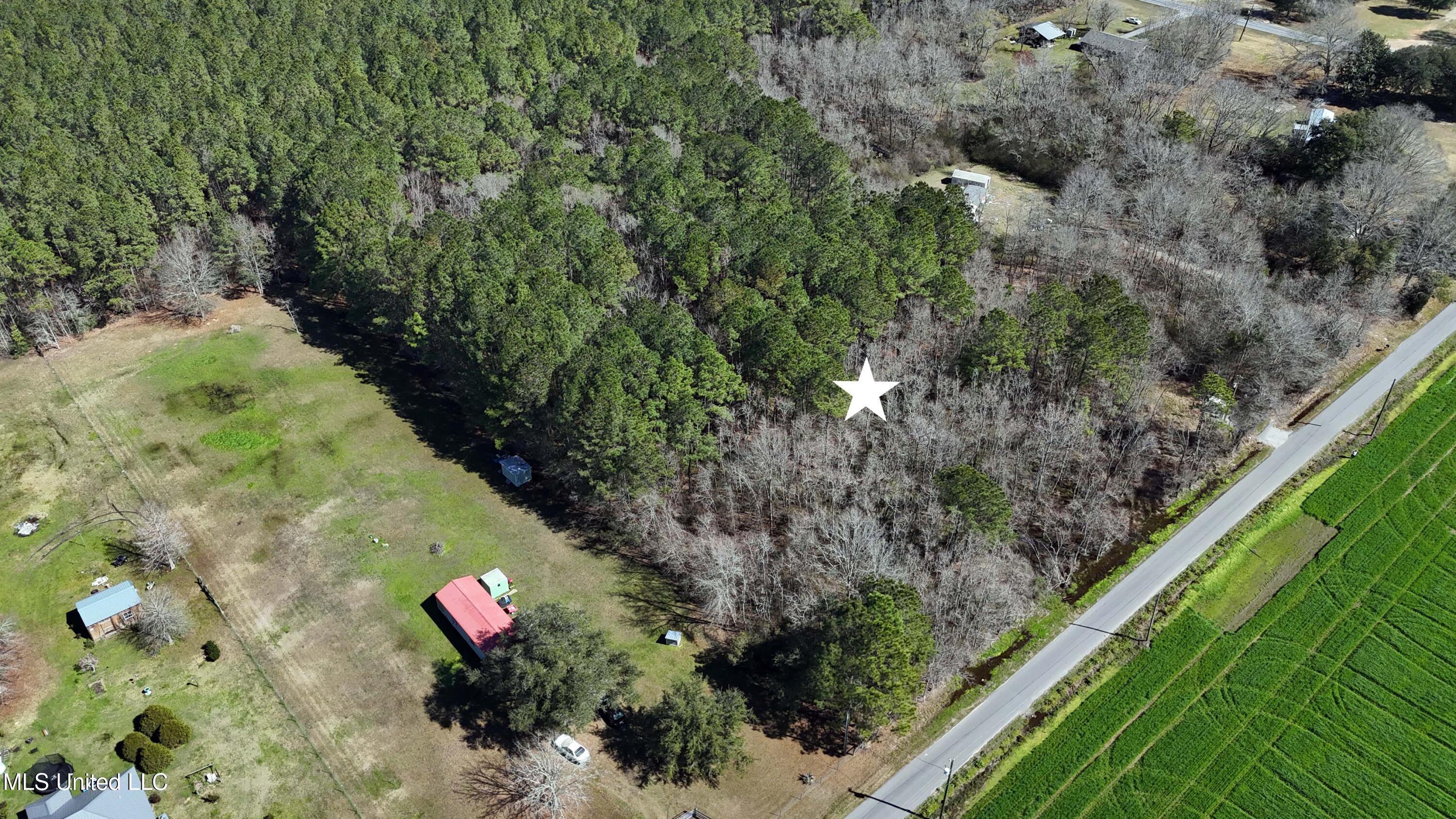 Rosedale Church Road, Lucedale, Mississippi image 1