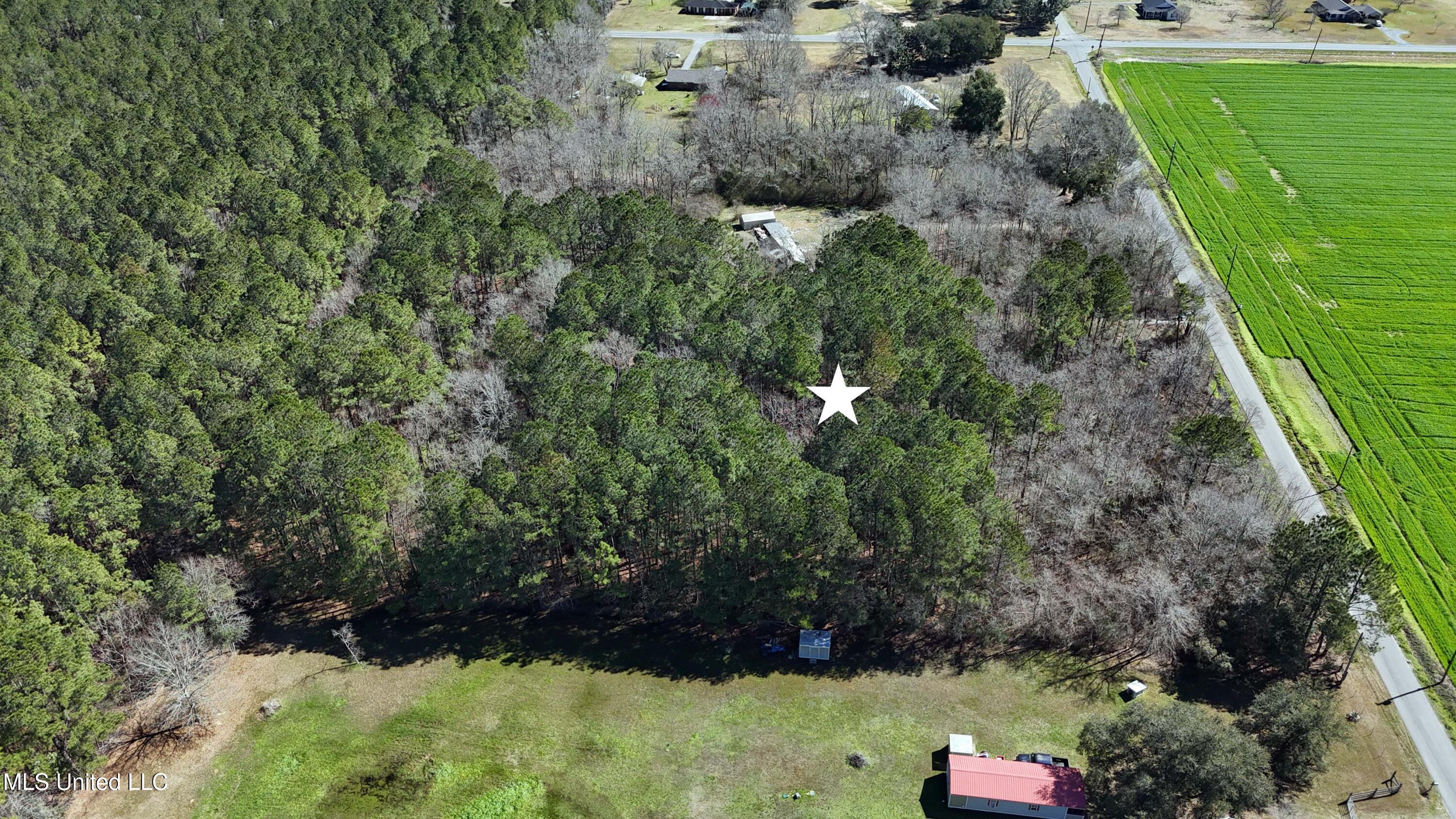 Rosedale Church Road, Lucedale, Mississippi image 3