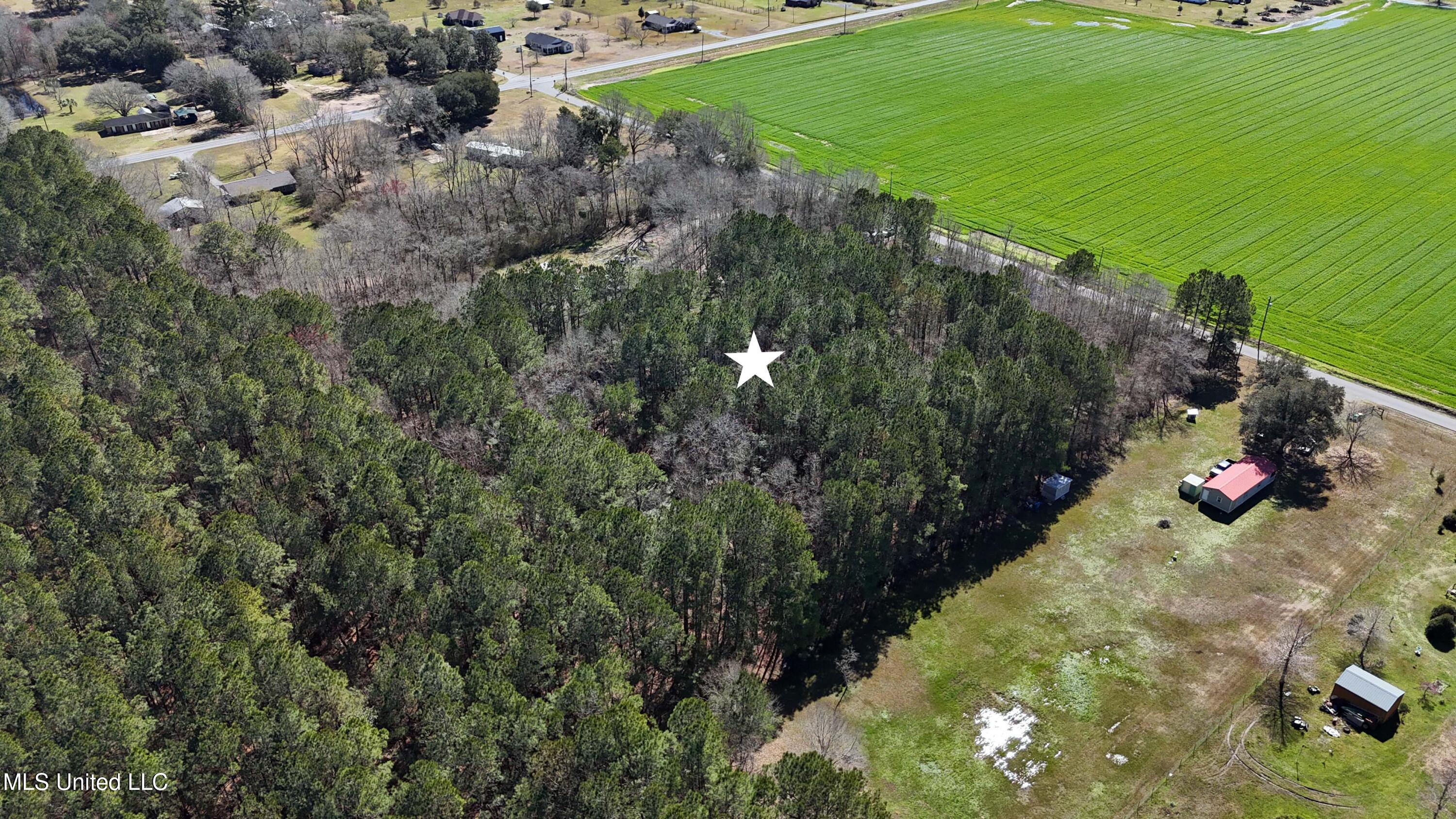 Rosedale Church Road, Lucedale, Mississippi image 4