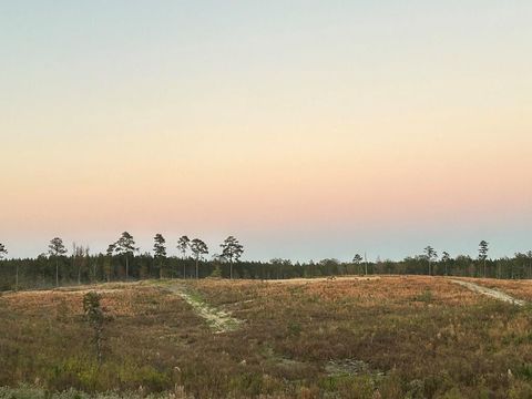 Vacant Land For Sale - PARCEL 6 Firehouse Road<br/> Amite County, Liberty, MS 39645