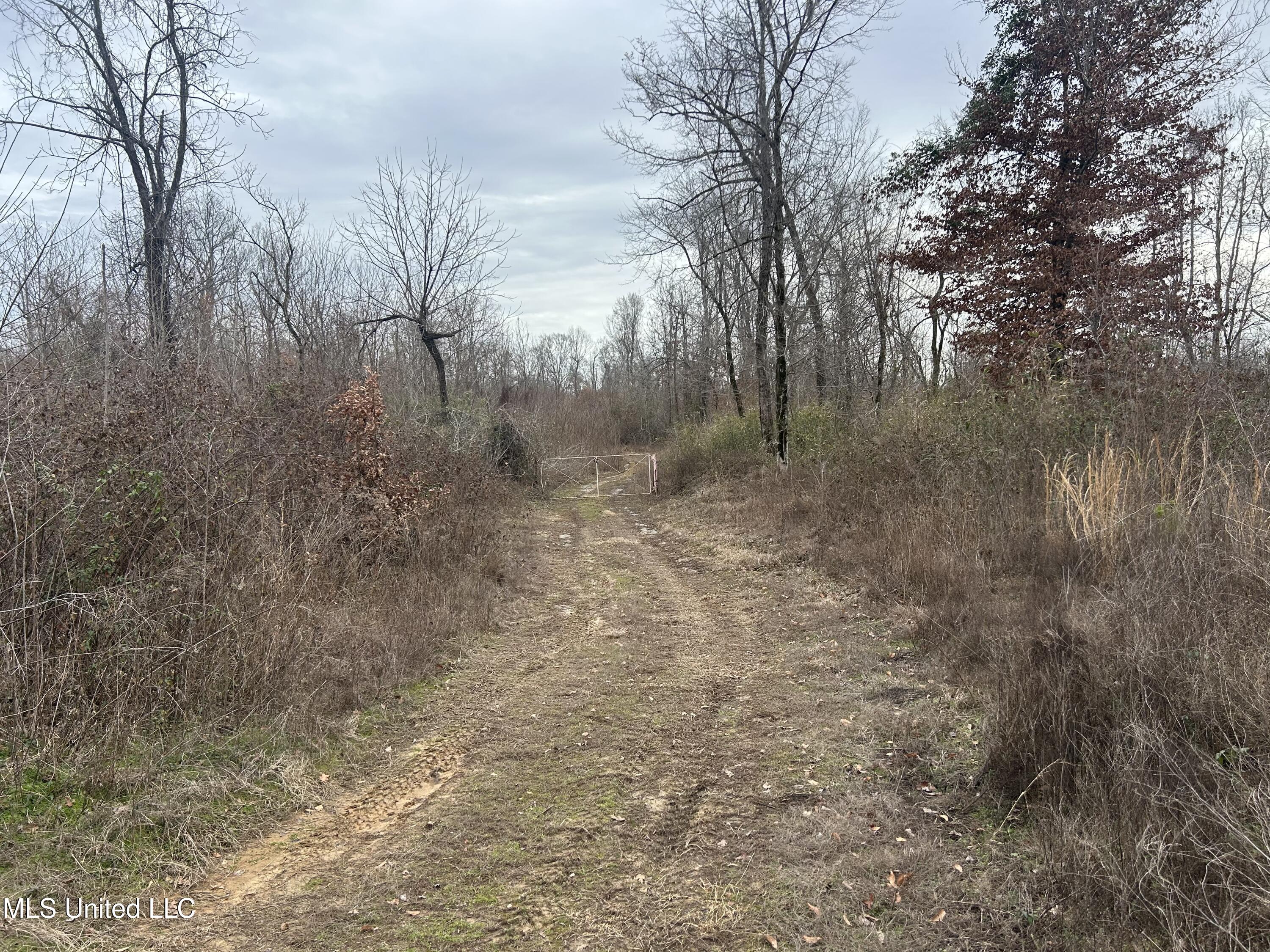 Campbell Swamp Road, Vicksburg, Mississippi image 41