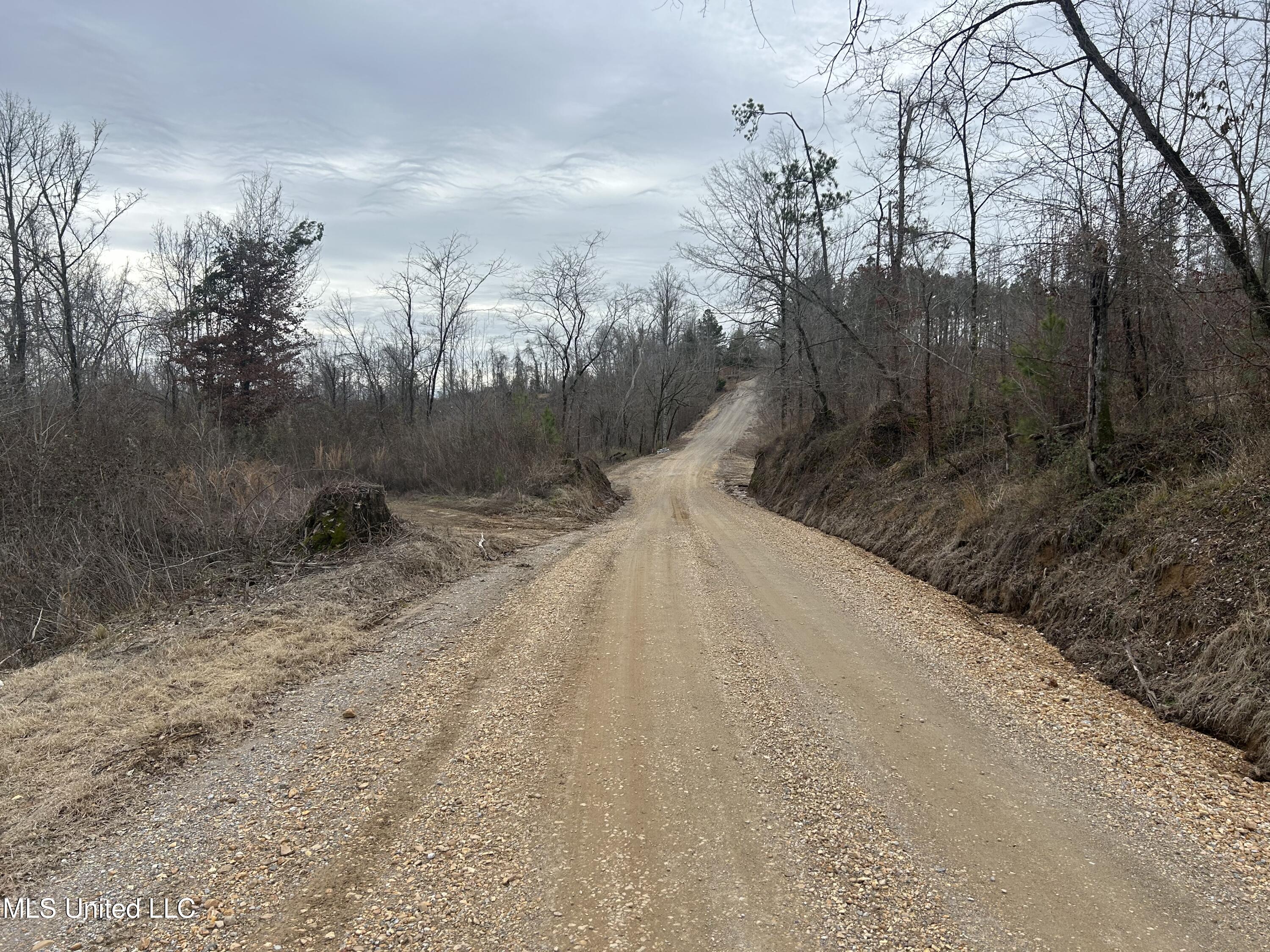 Campbell Swamp Road, Vicksburg, Mississippi image 42