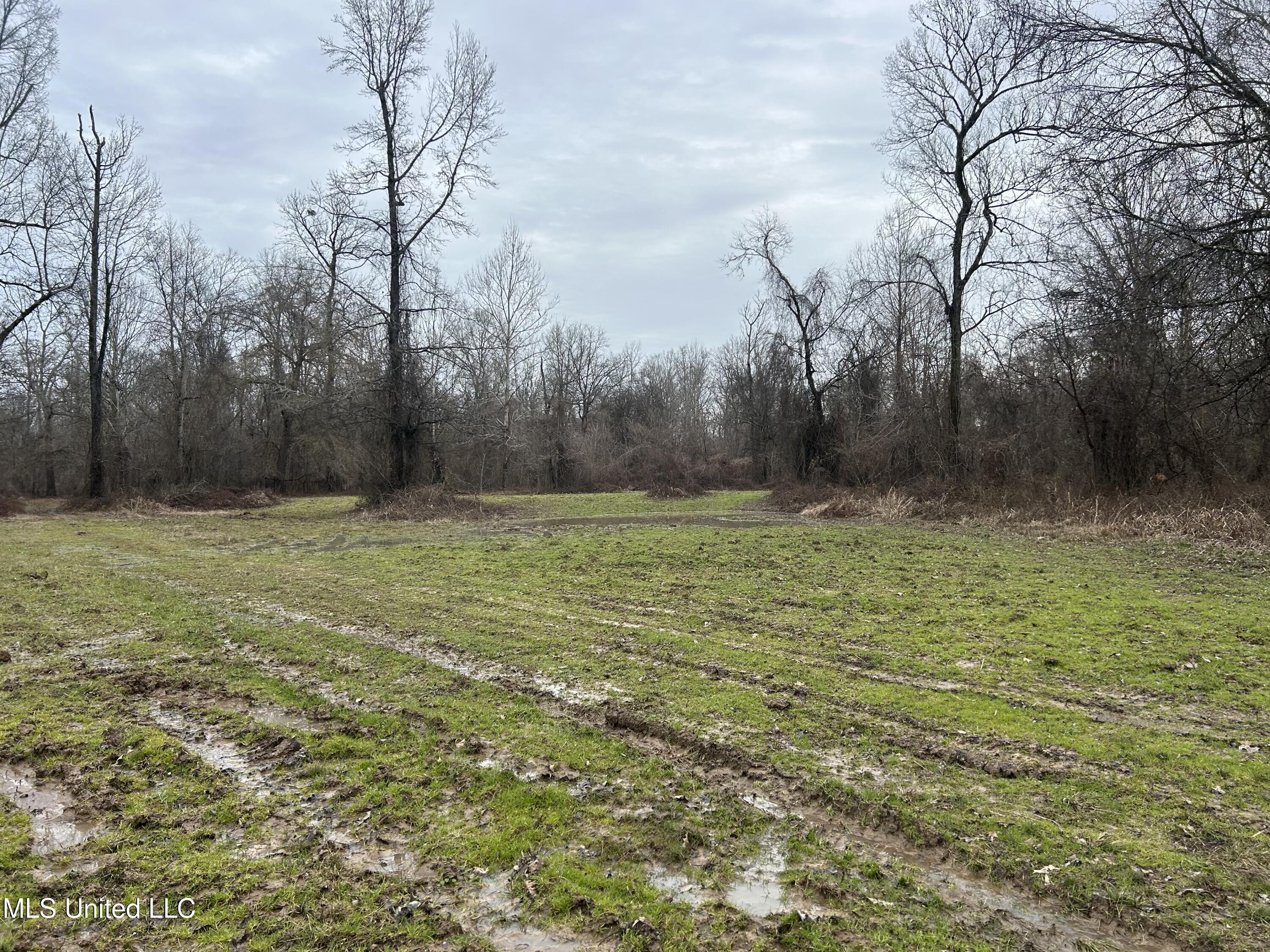 Campbell Swamp Road, Vicksburg, Mississippi image 35