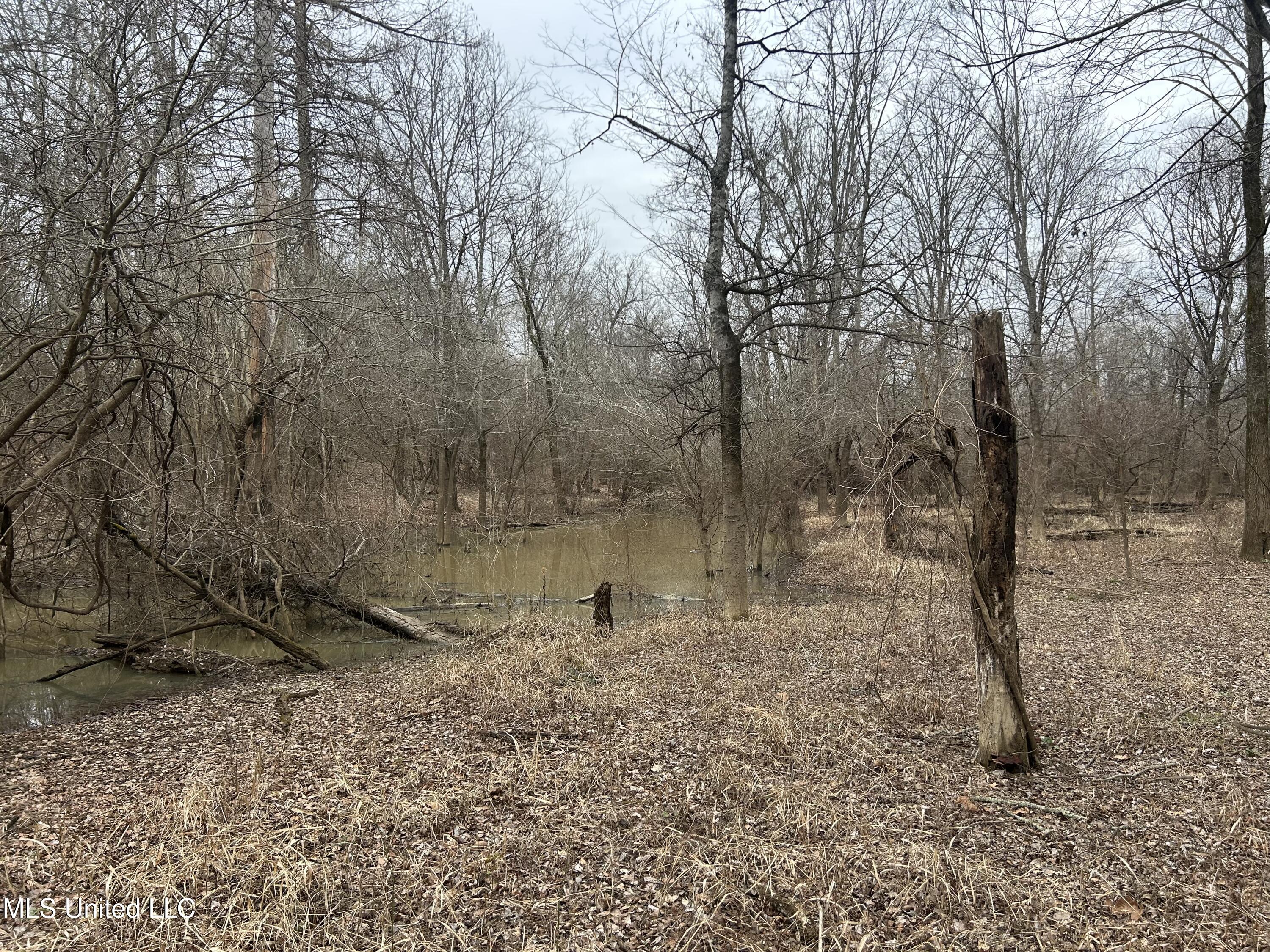 Campbell Swamp Road, Vicksburg, Mississippi image 13