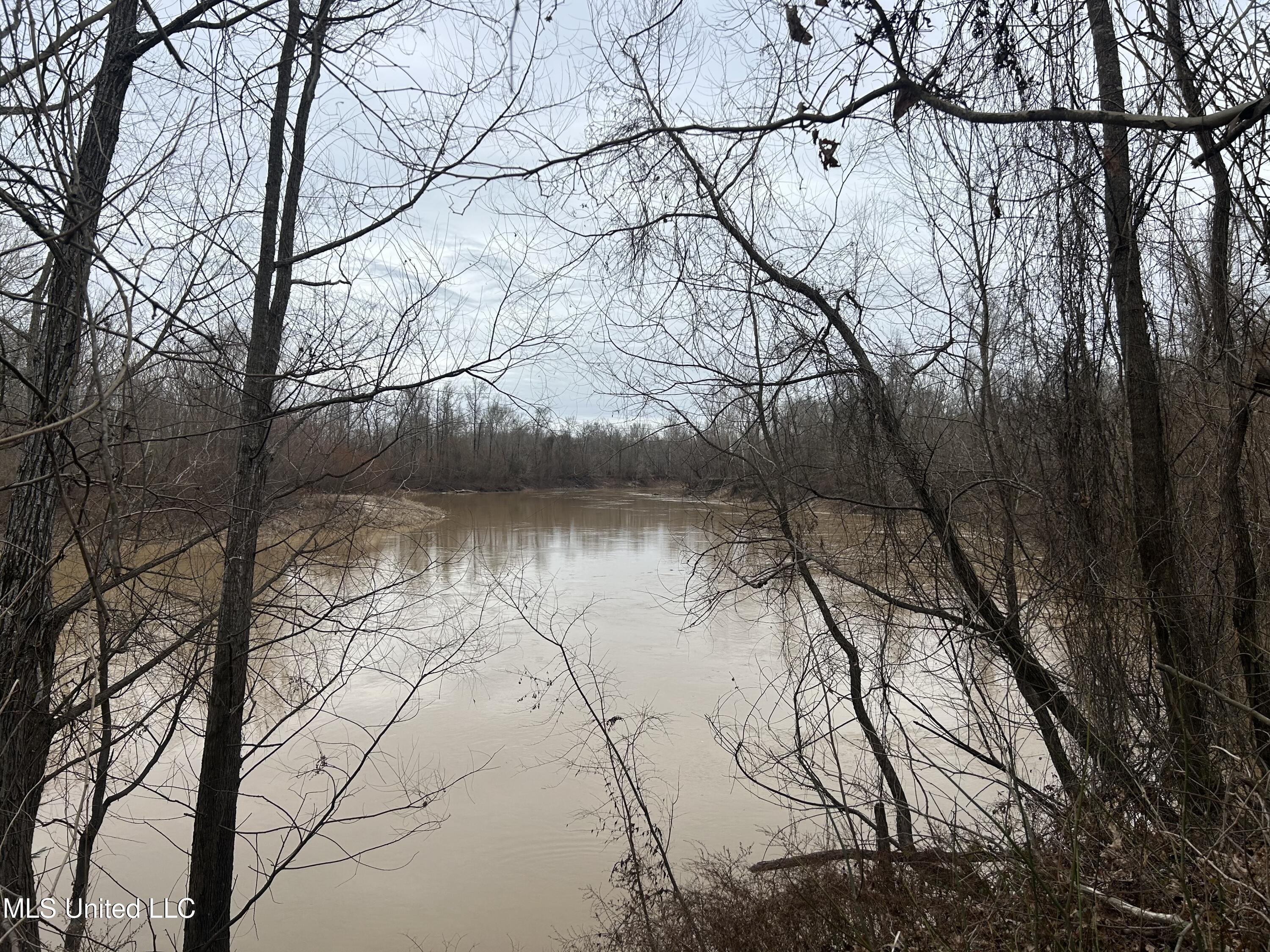 Campbell Swamp Road, Vicksburg, Mississippi image 32