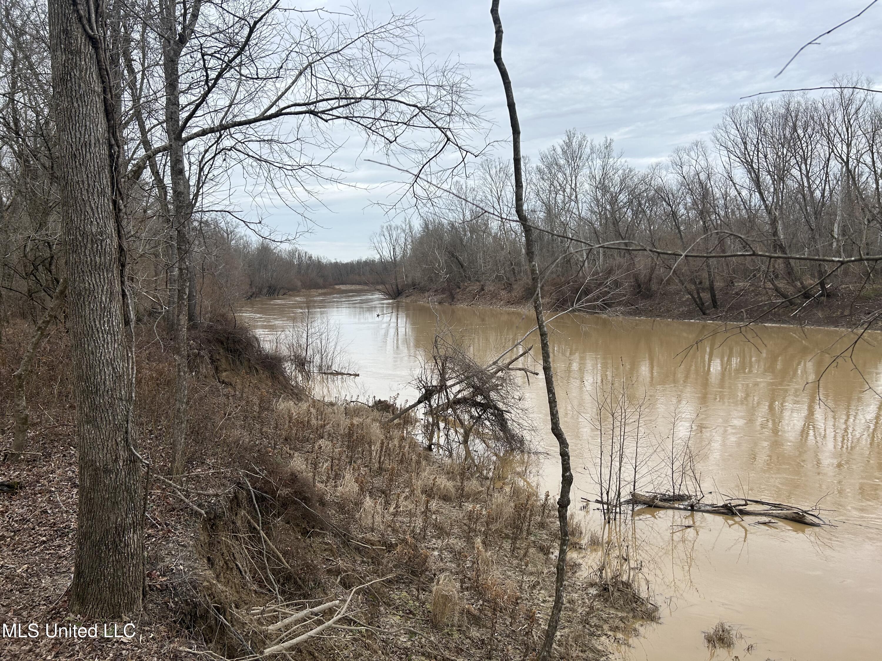 Campbell Swamp Road, Vicksburg, Mississippi image 3