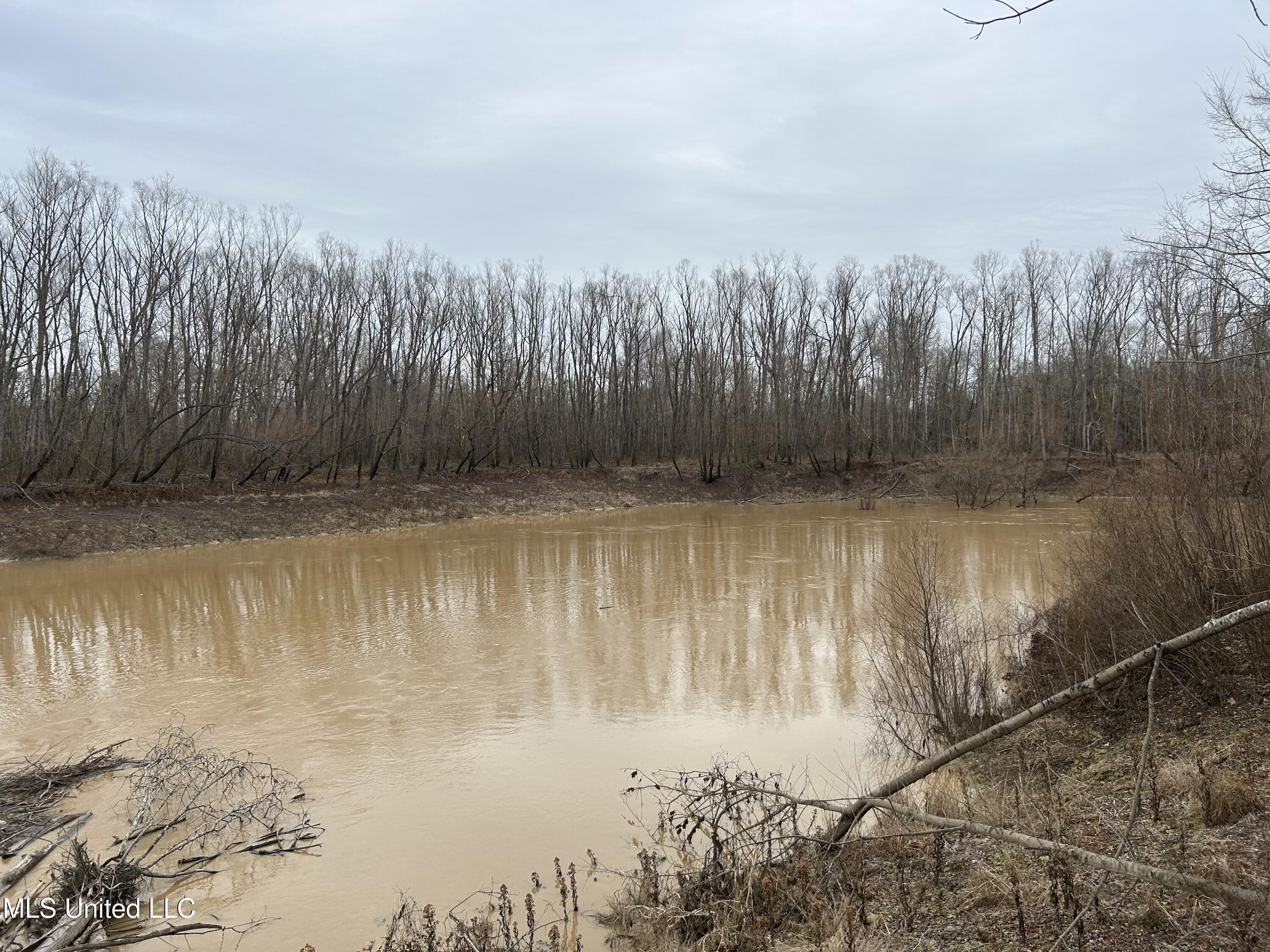 Campbell Swamp Road, Vicksburg, Mississippi image 2