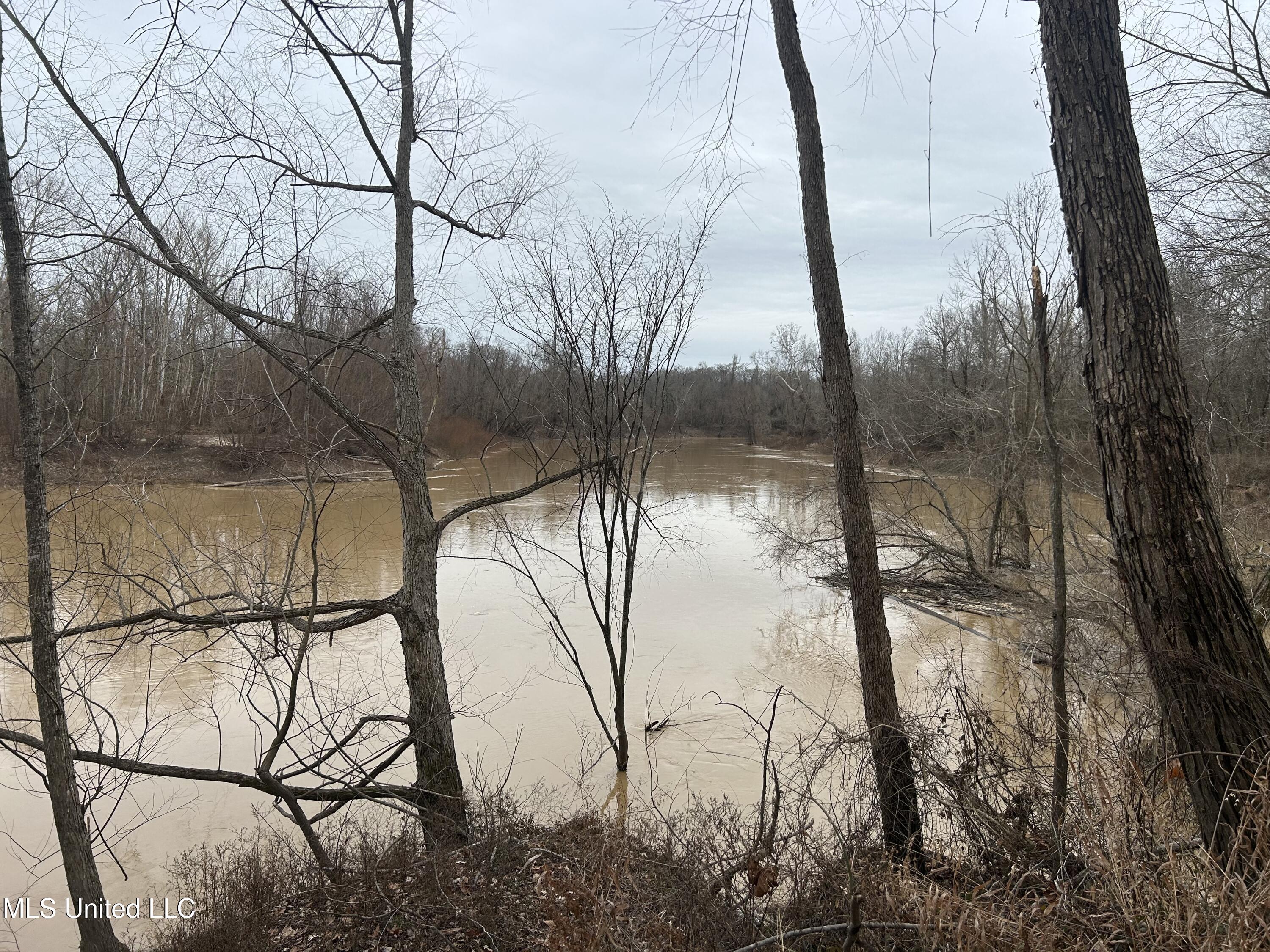 Campbell Swamp Road, Vicksburg, Mississippi image 4