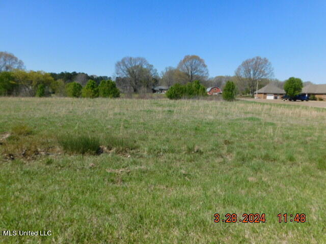 4641 Grazeland Drive, Olive Branch, Mississippi image 1