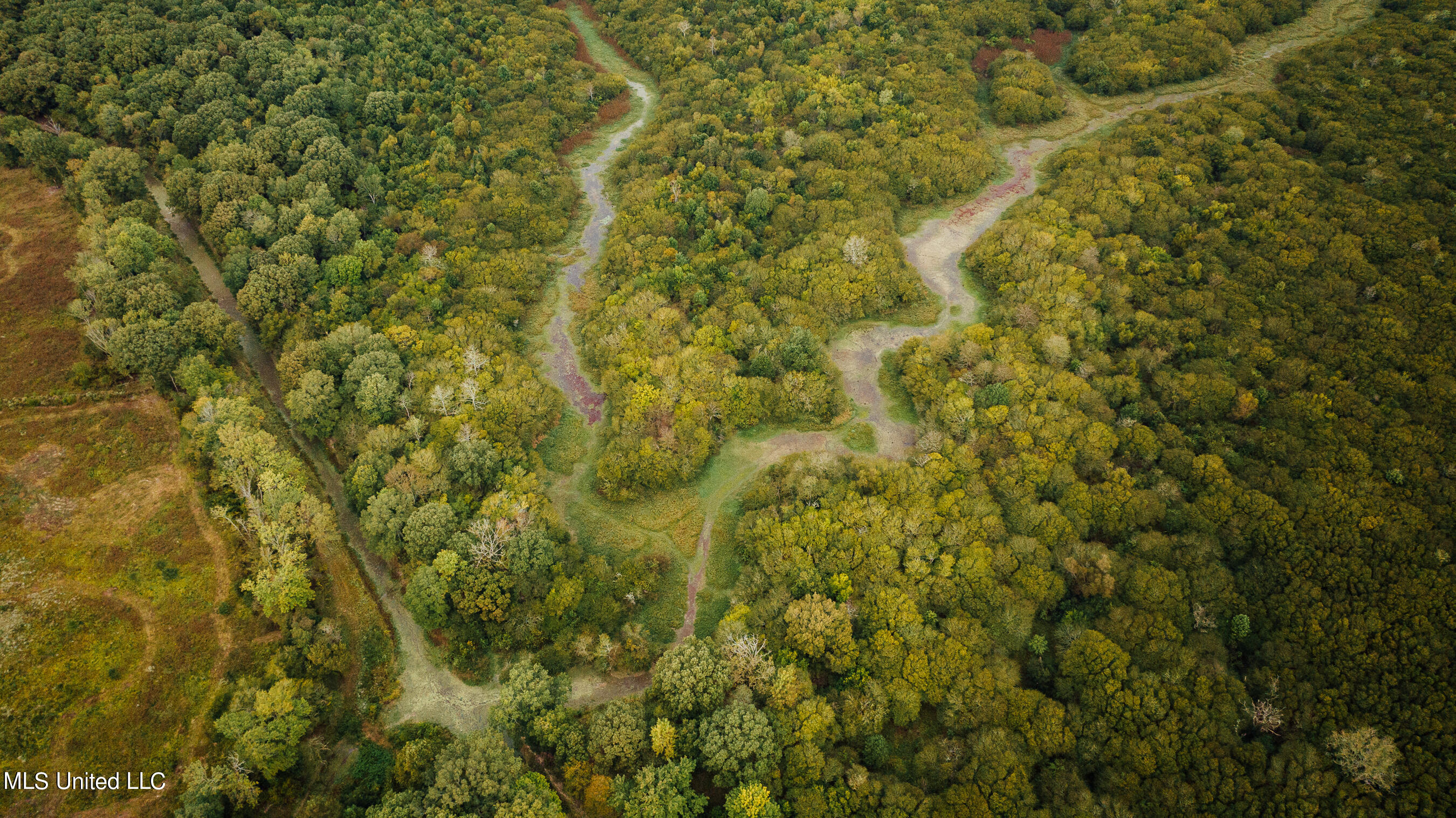 Ms Highway 7 North, Greenwood, Mississippi image 3