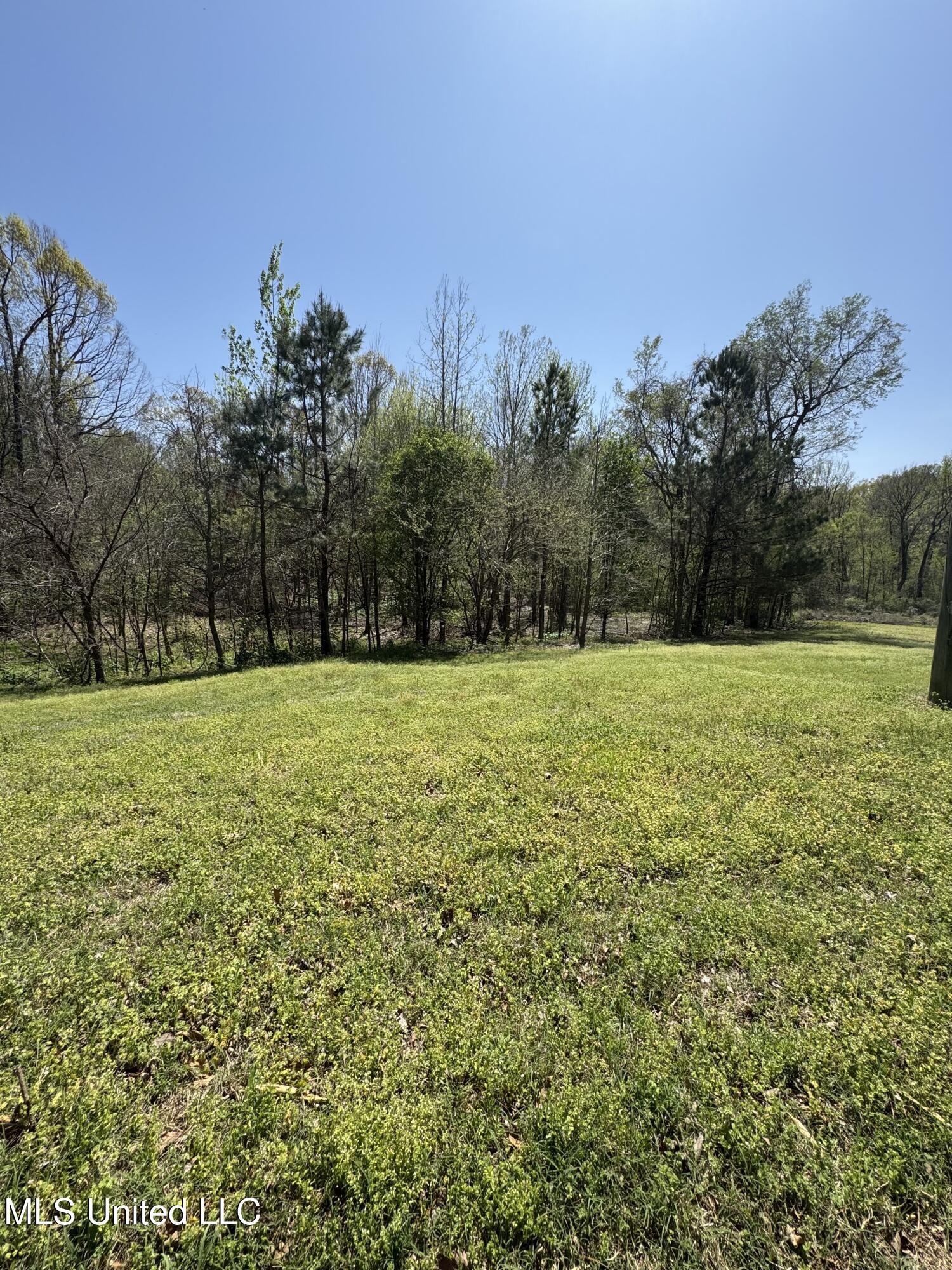 2 Poplar Corner Road, Walls, Mississippi image 6