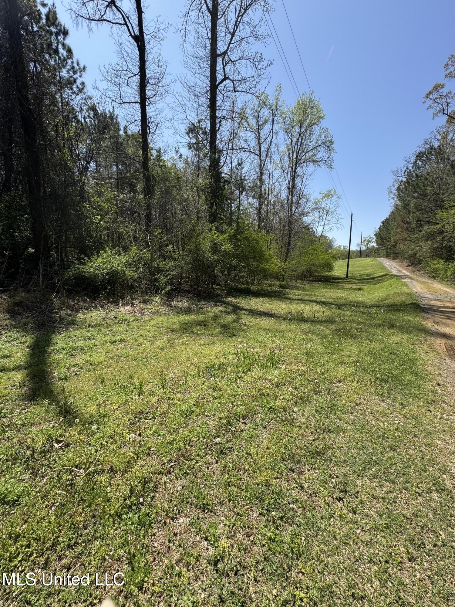 2 Poplar Corner Road, Walls, Mississippi image 4
