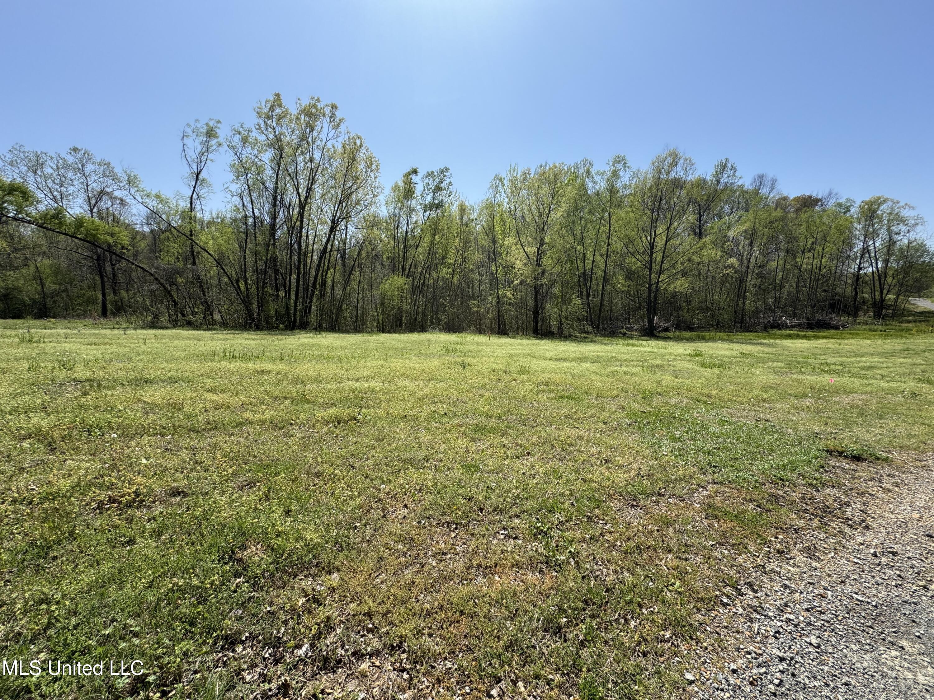 2 Poplar Corner Road, Walls, Mississippi image 1