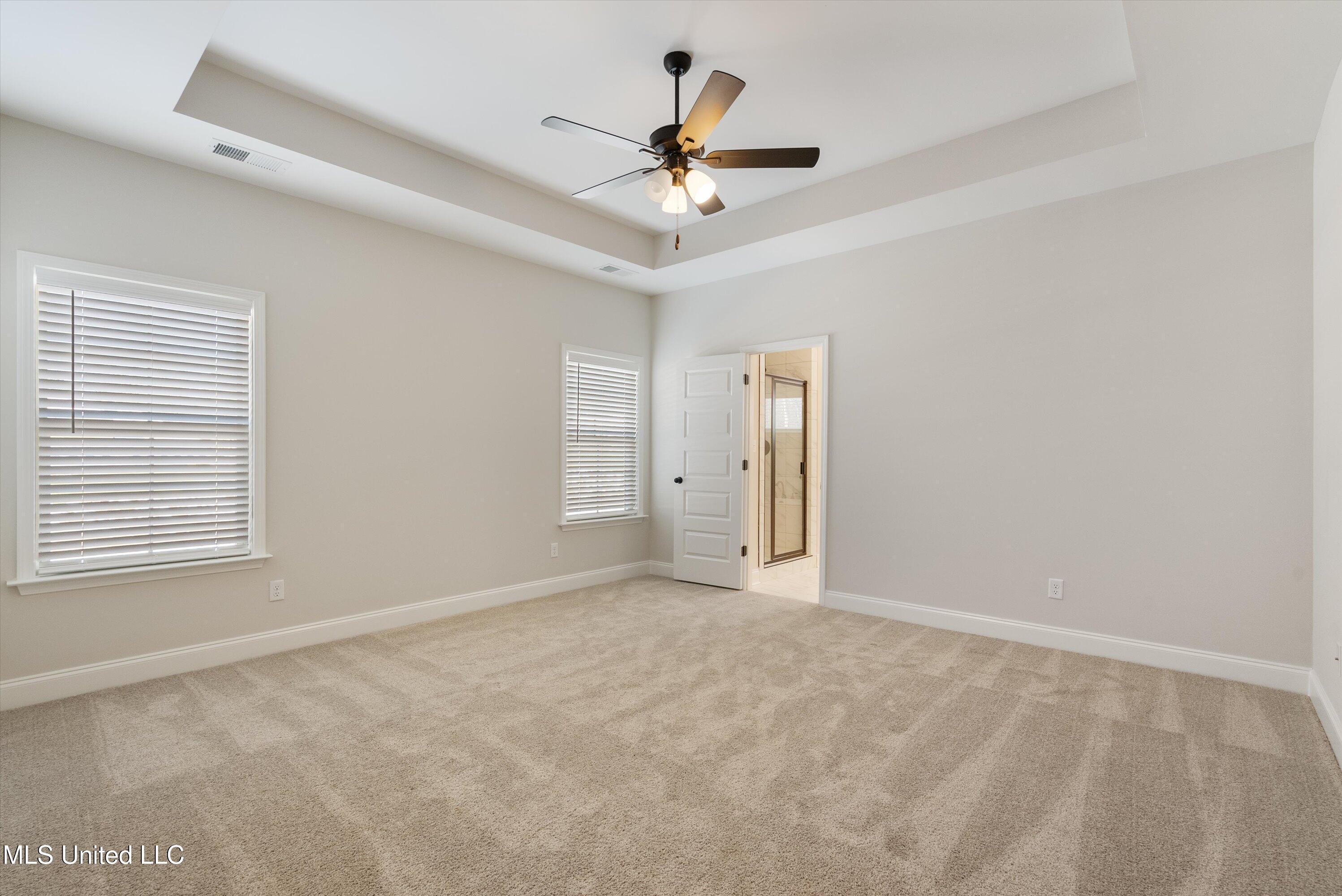 915 Collie Drive, Hernando, Mississippi image 11
