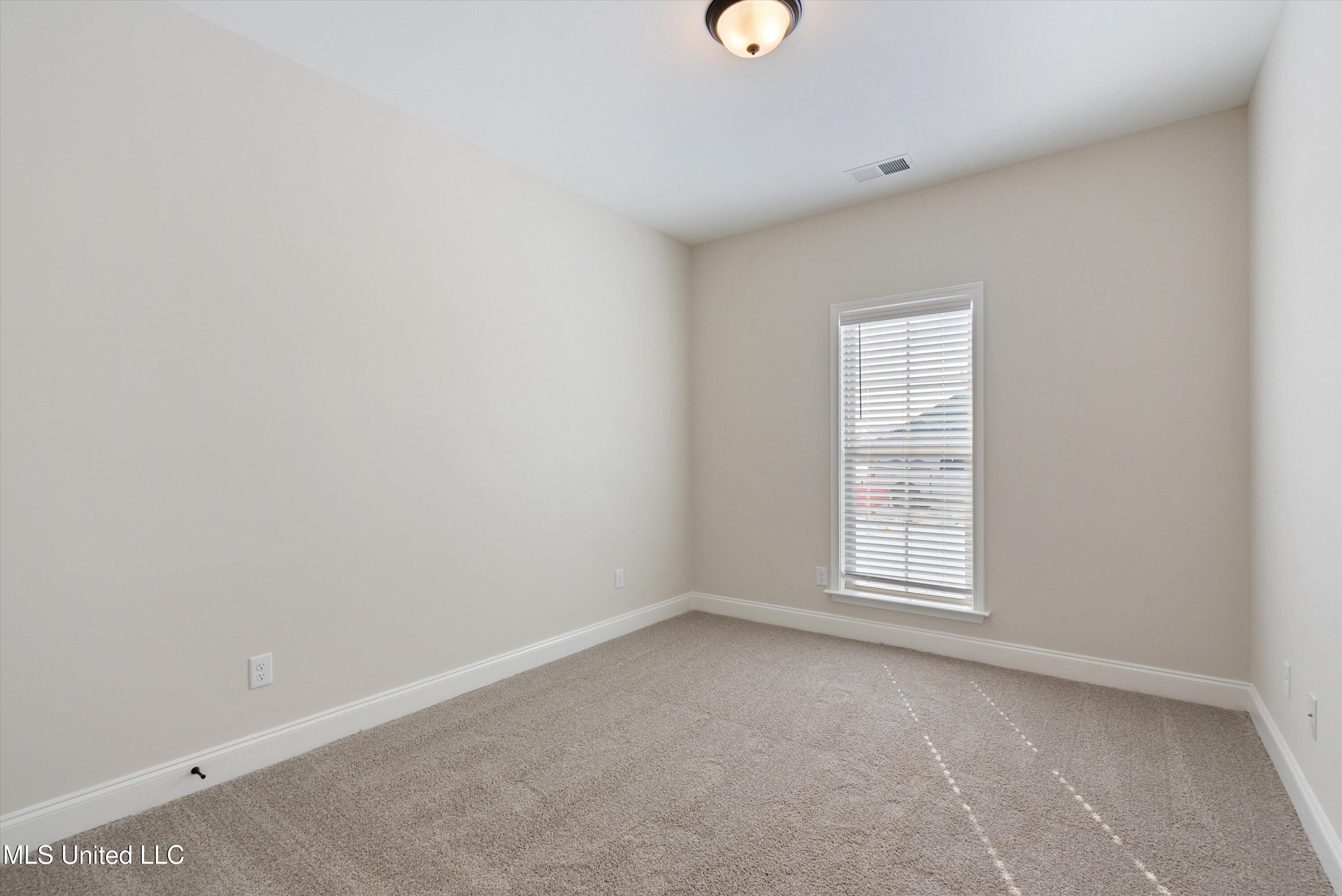 915 Collie Drive, Hernando, Mississippi image 17
