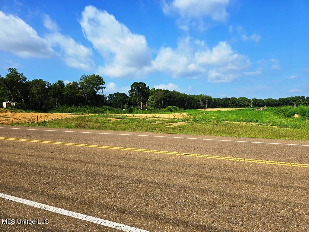 Scott Street, Senatobia, Mississippi image 1