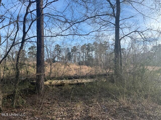 Lot B Slocum Road, Hernando, Mississippi image 6