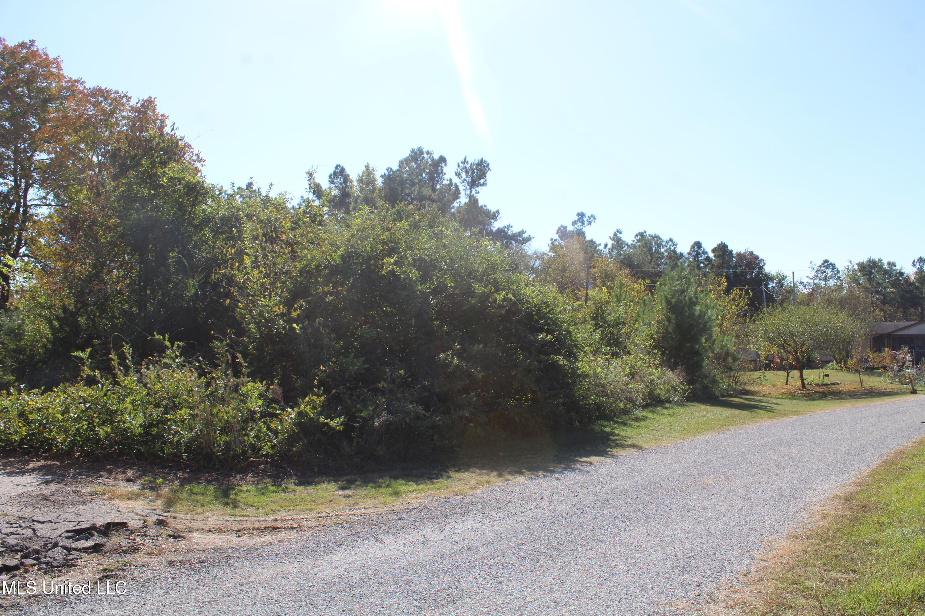 Beck Springs Road, Holly Springs, Mississippi image 19