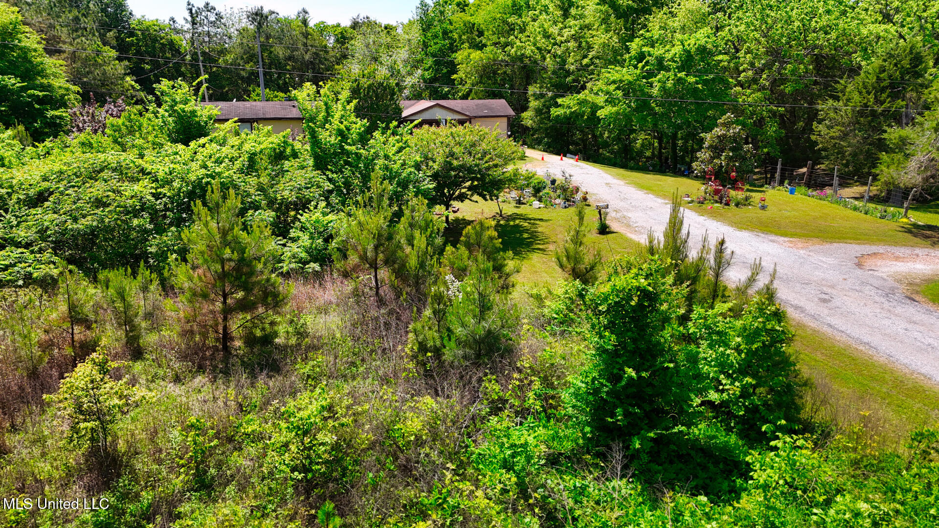 Beck Springs Road, Holly Springs, Mississippi image 14