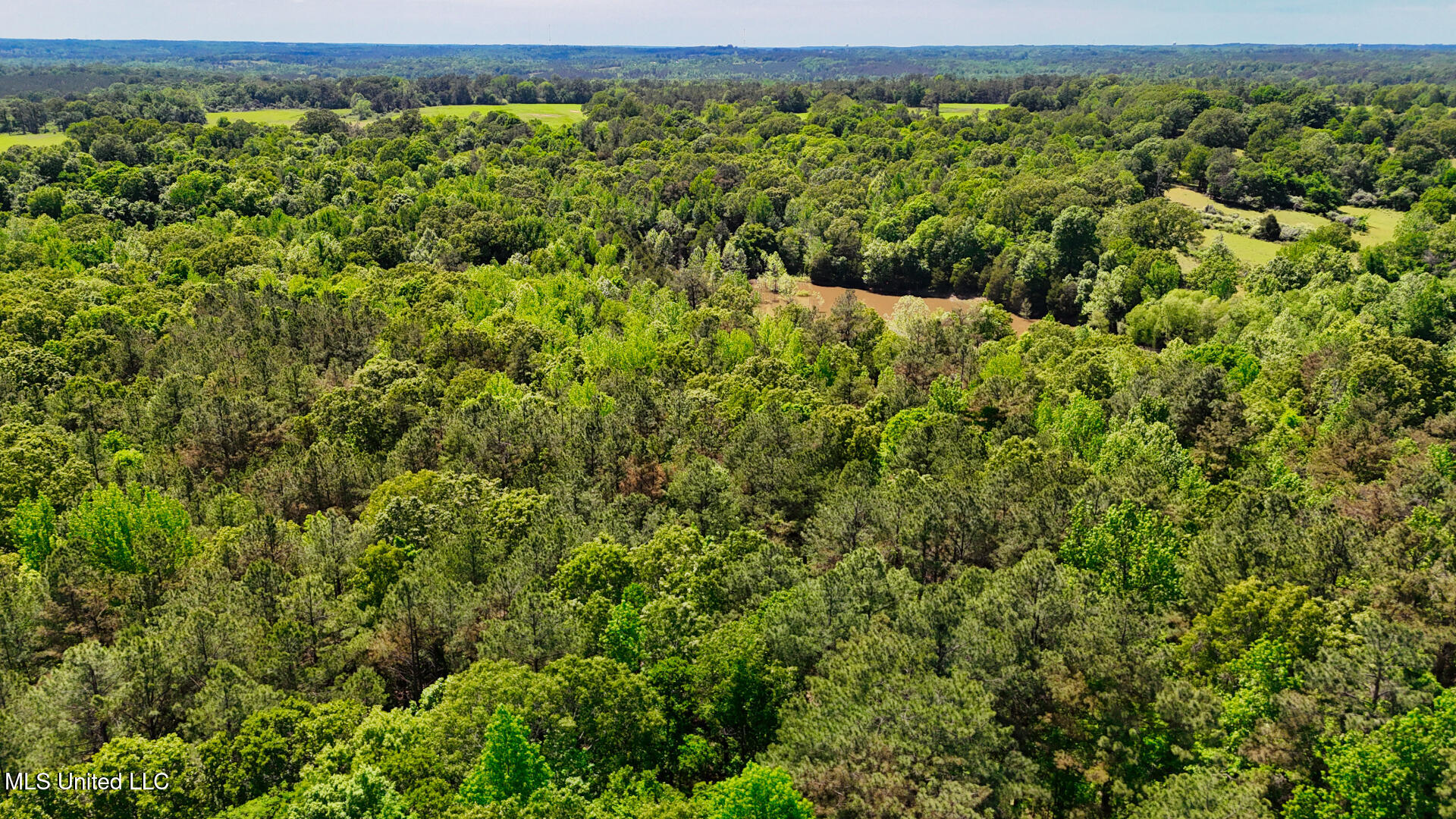 Beck Springs Road, Holly Springs, Mississippi image 6