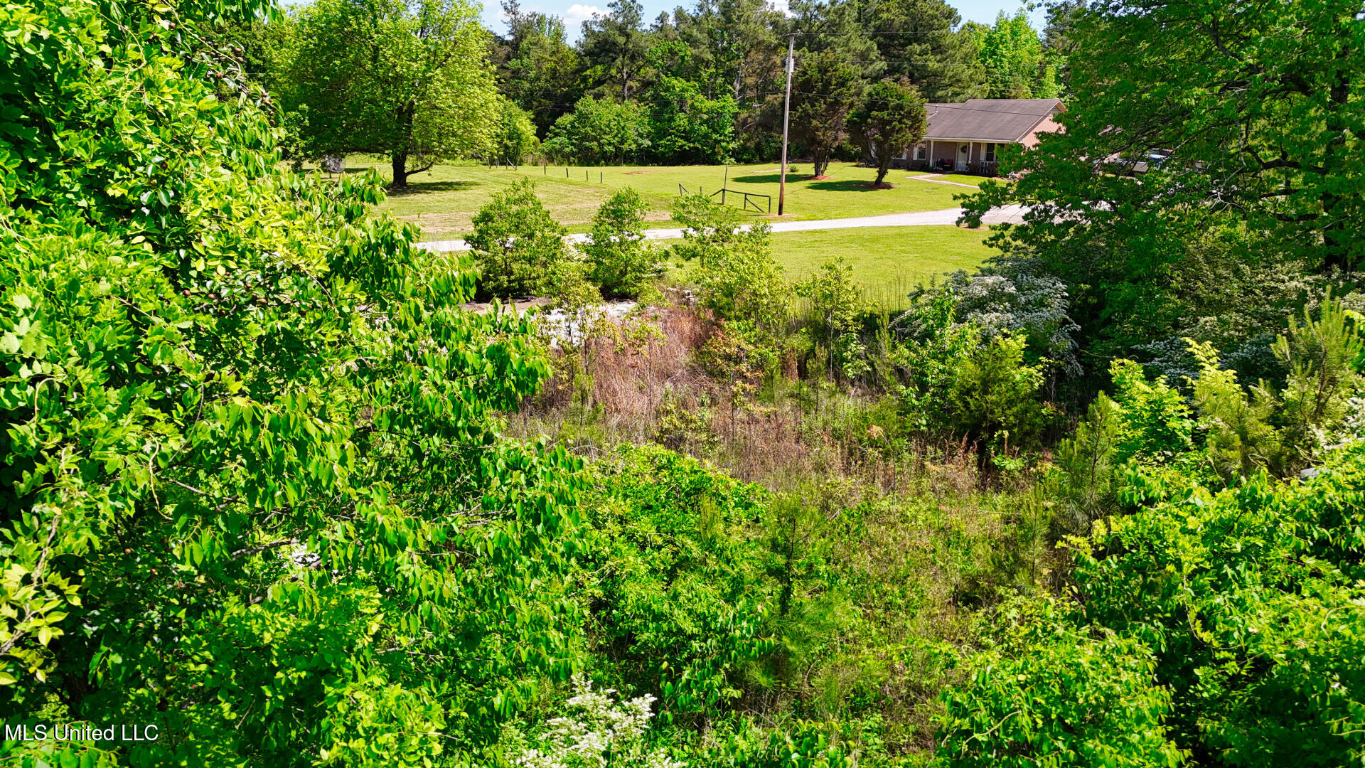 Beck Springs Road, Holly Springs, Mississippi image 15