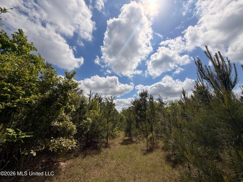 Vacant Land For Sale - 93 Hammond Road<br/> Monticello, MS 39654